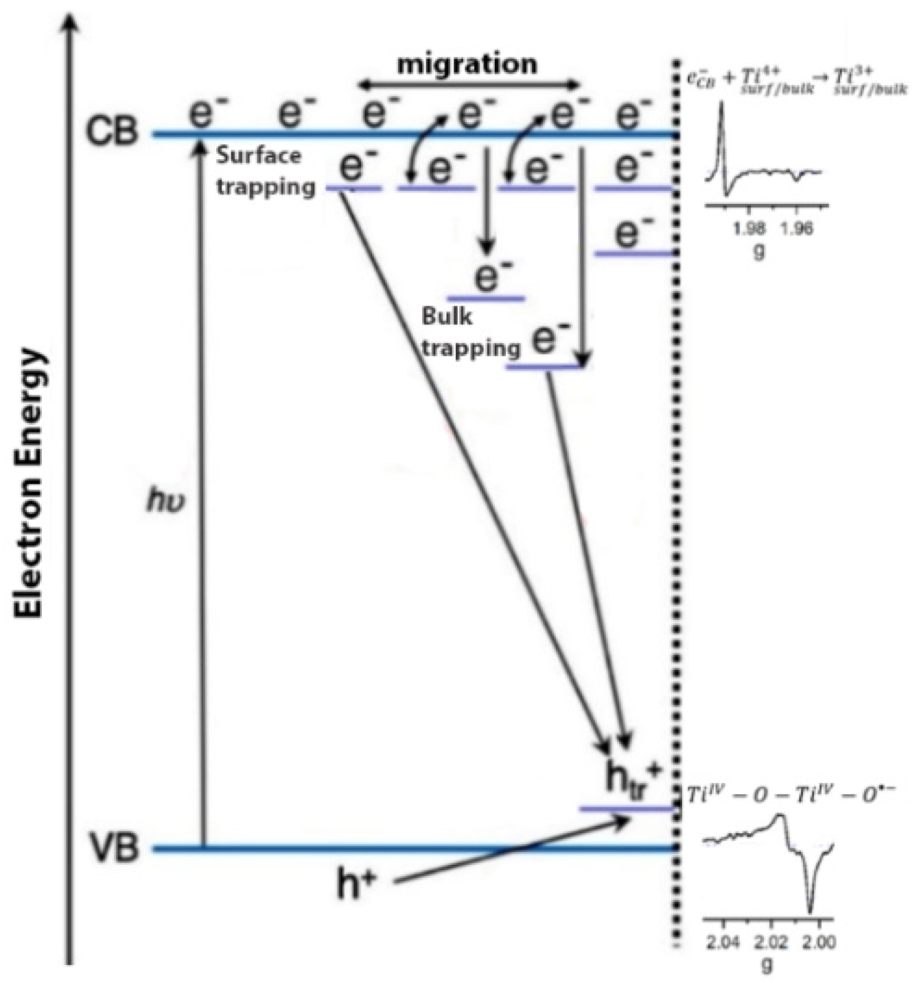 Catalysts 11 01514 sch001 550