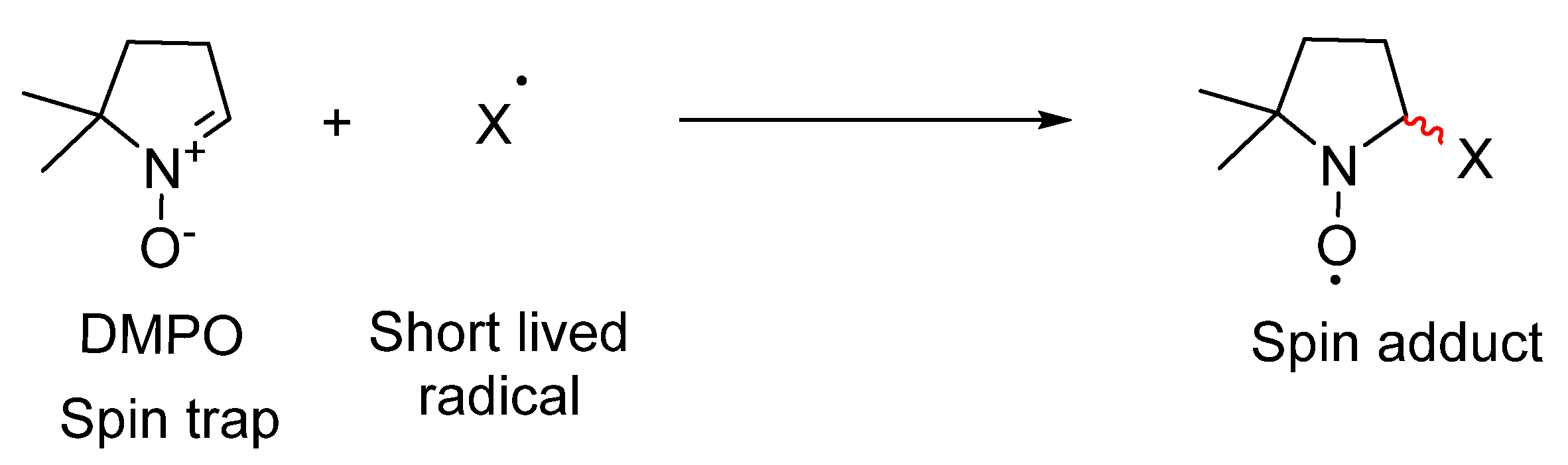 Catalysts 11 01514 sch005 550