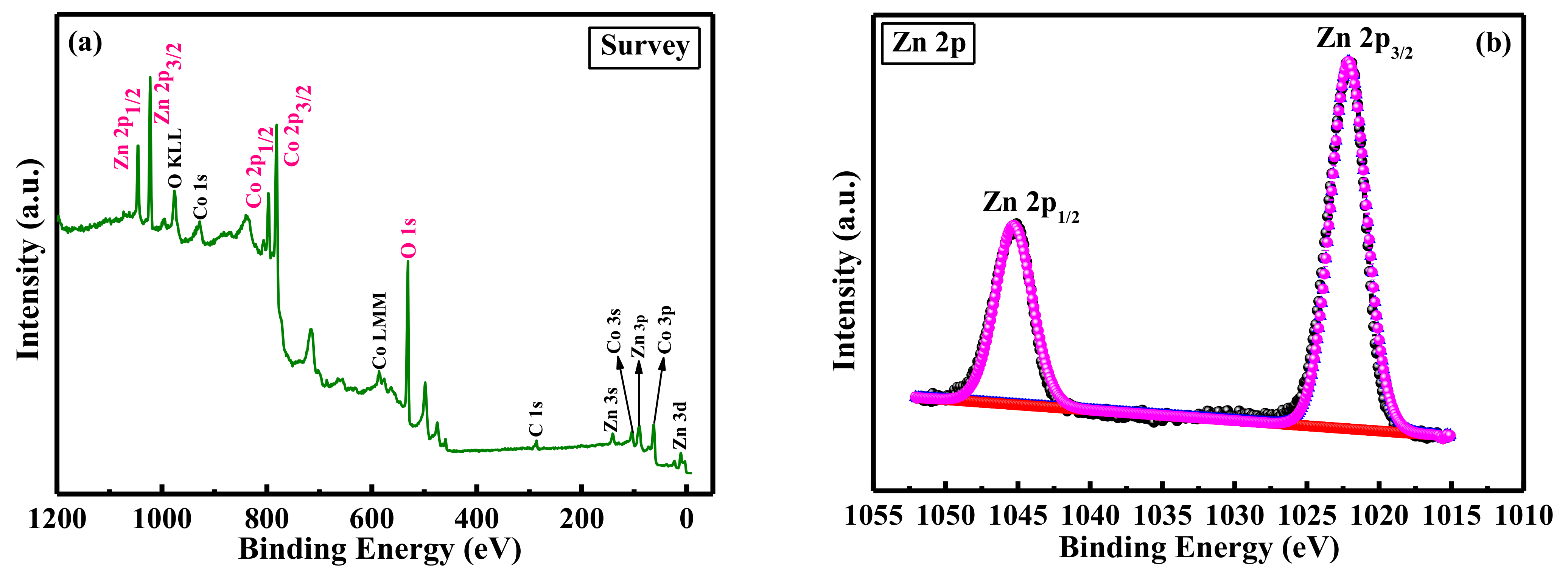 Catalysts 11 01516 g002a