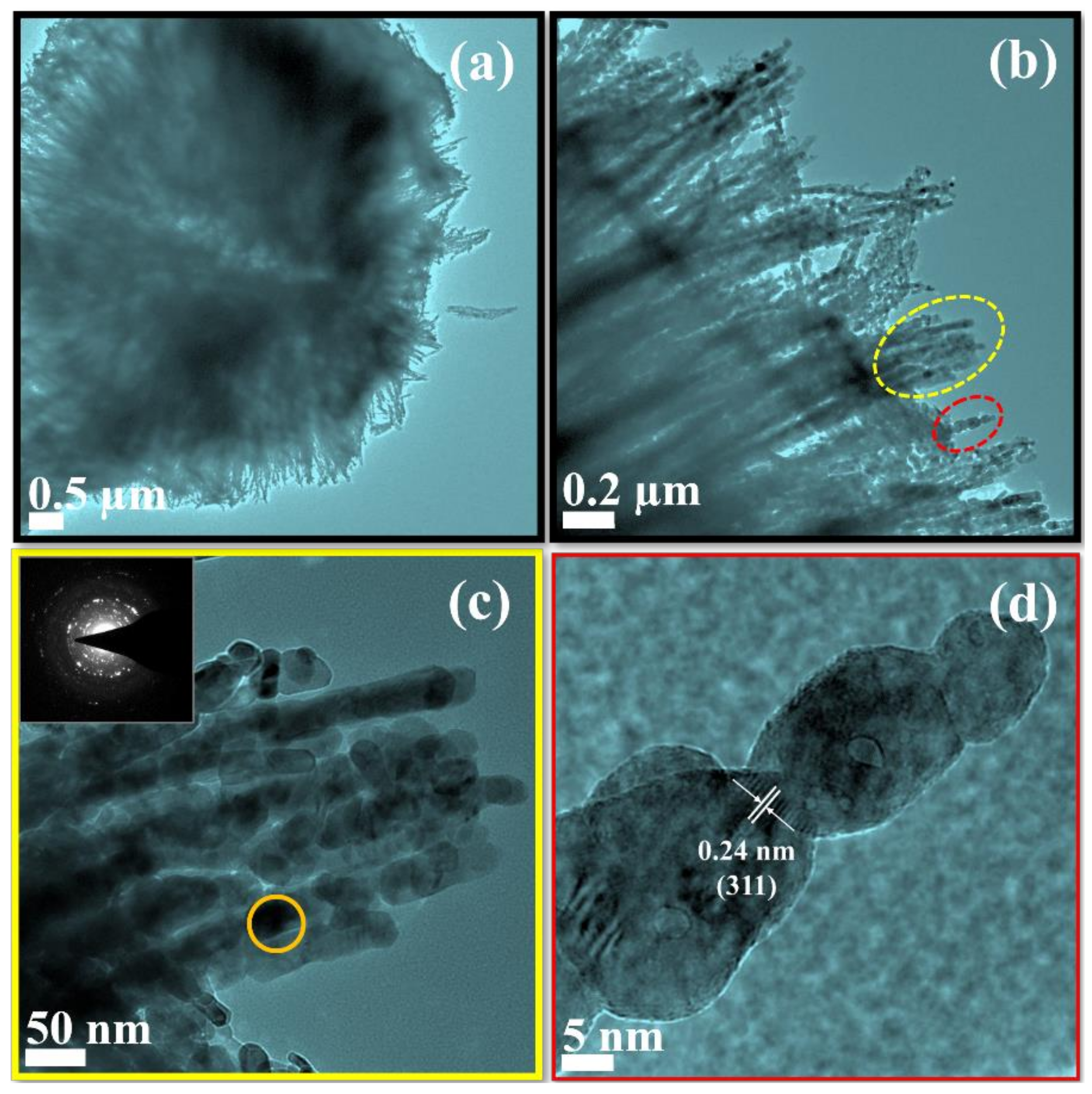 Catalysts 11 01516 g004