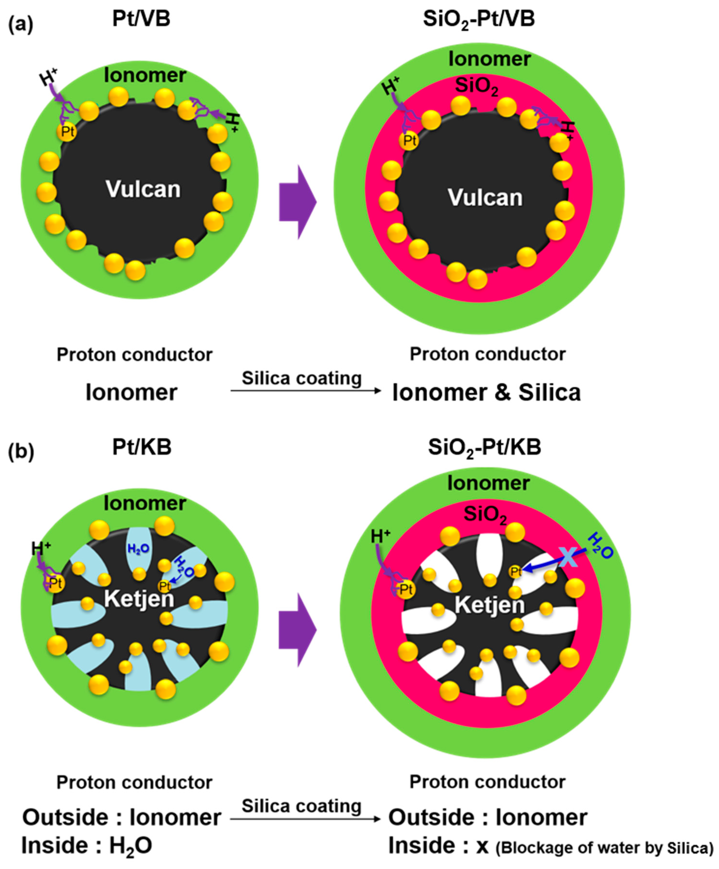 Catalysts 11 01517 g007