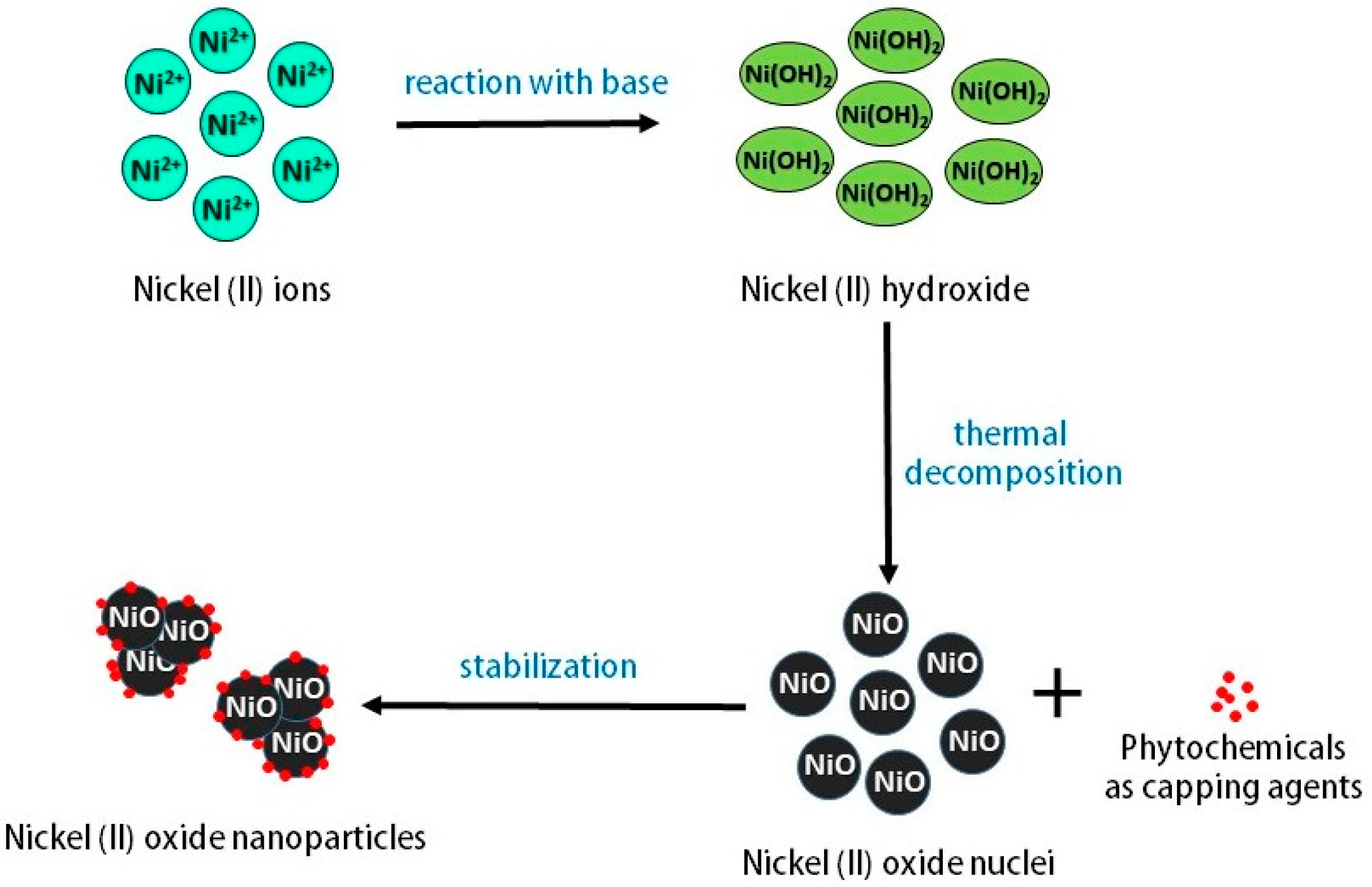 Catalysts 11 01523 g002