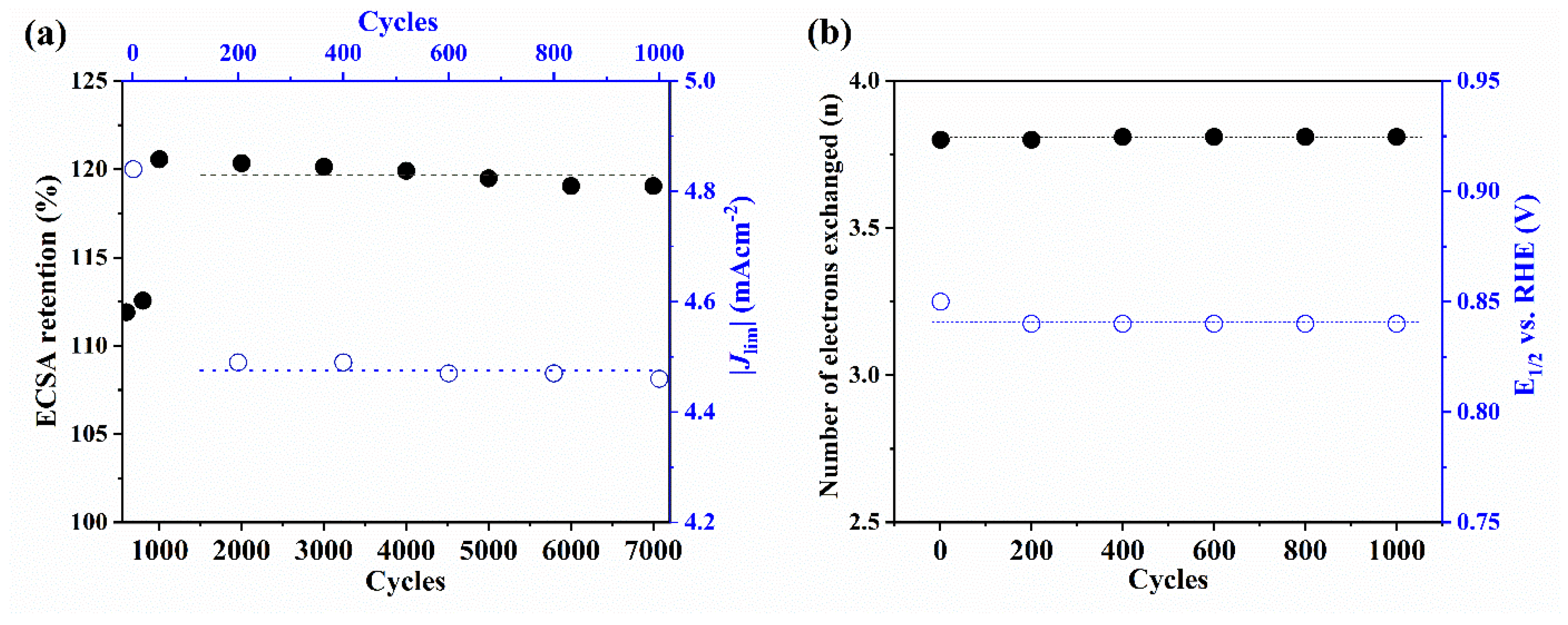 Catalysts 11 01525 g003 550