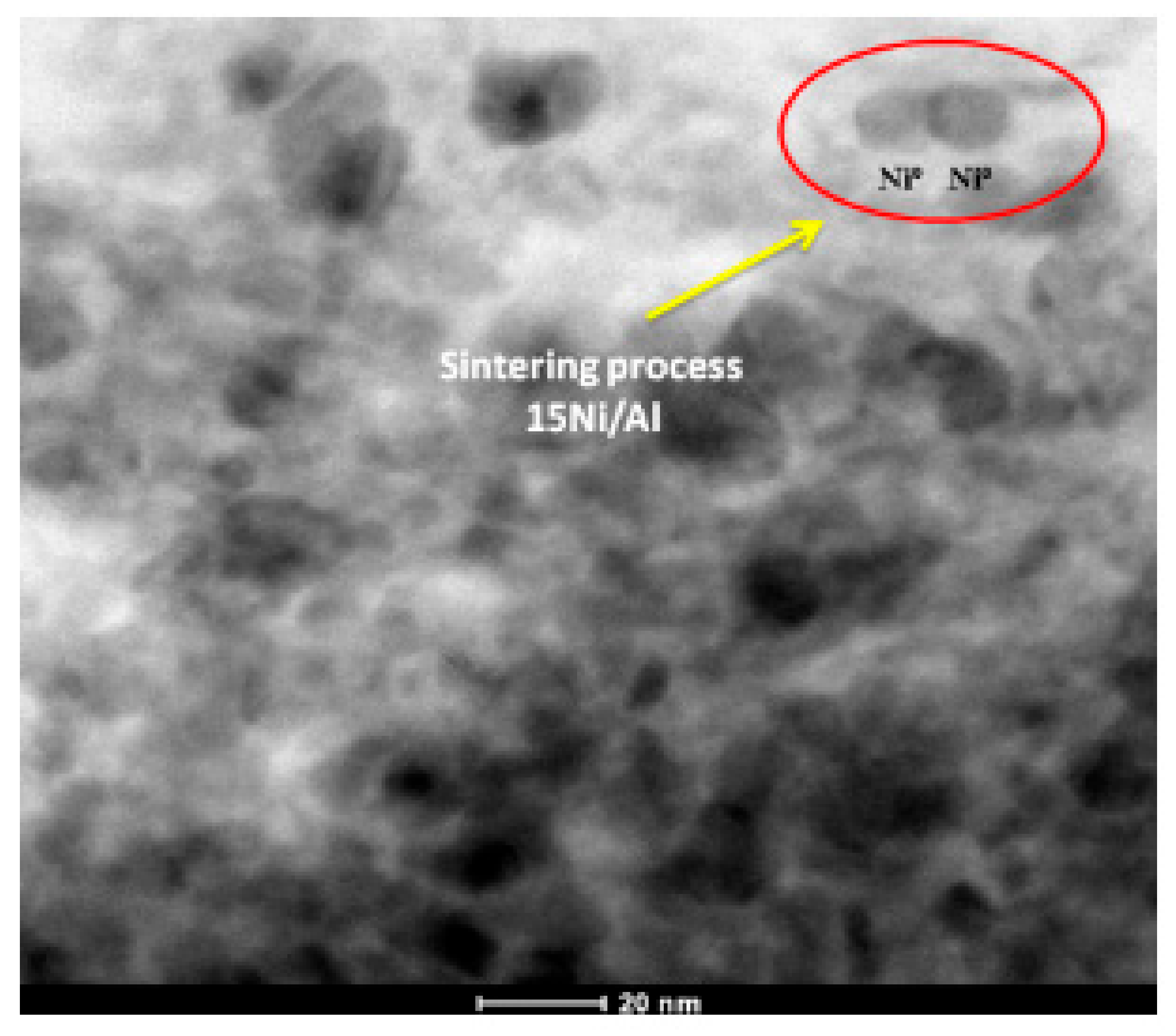 Catalysts 11 01526 g008 550