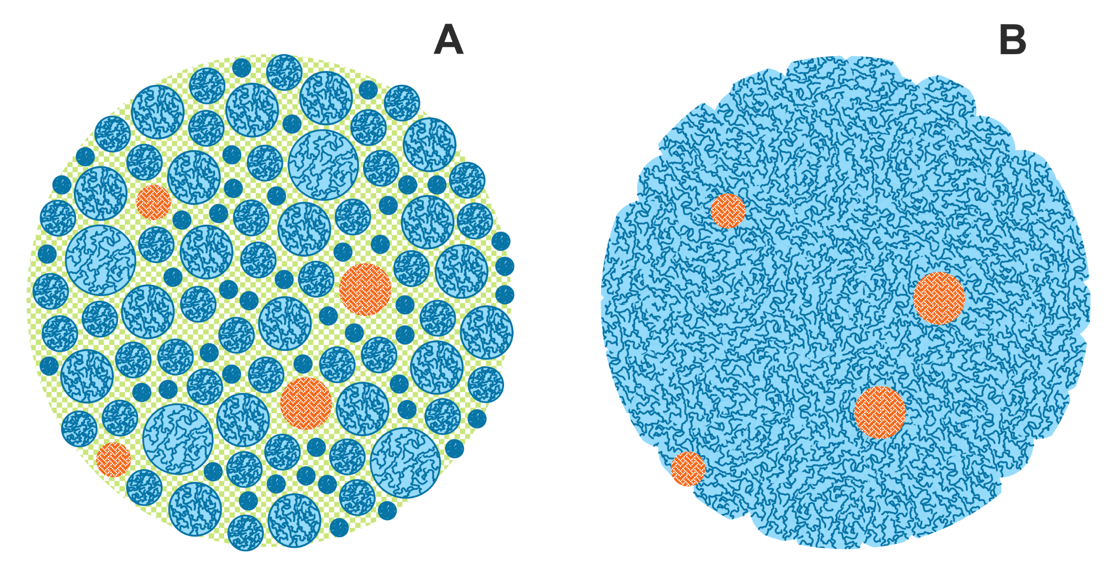 Catalysts 11 01527 g001