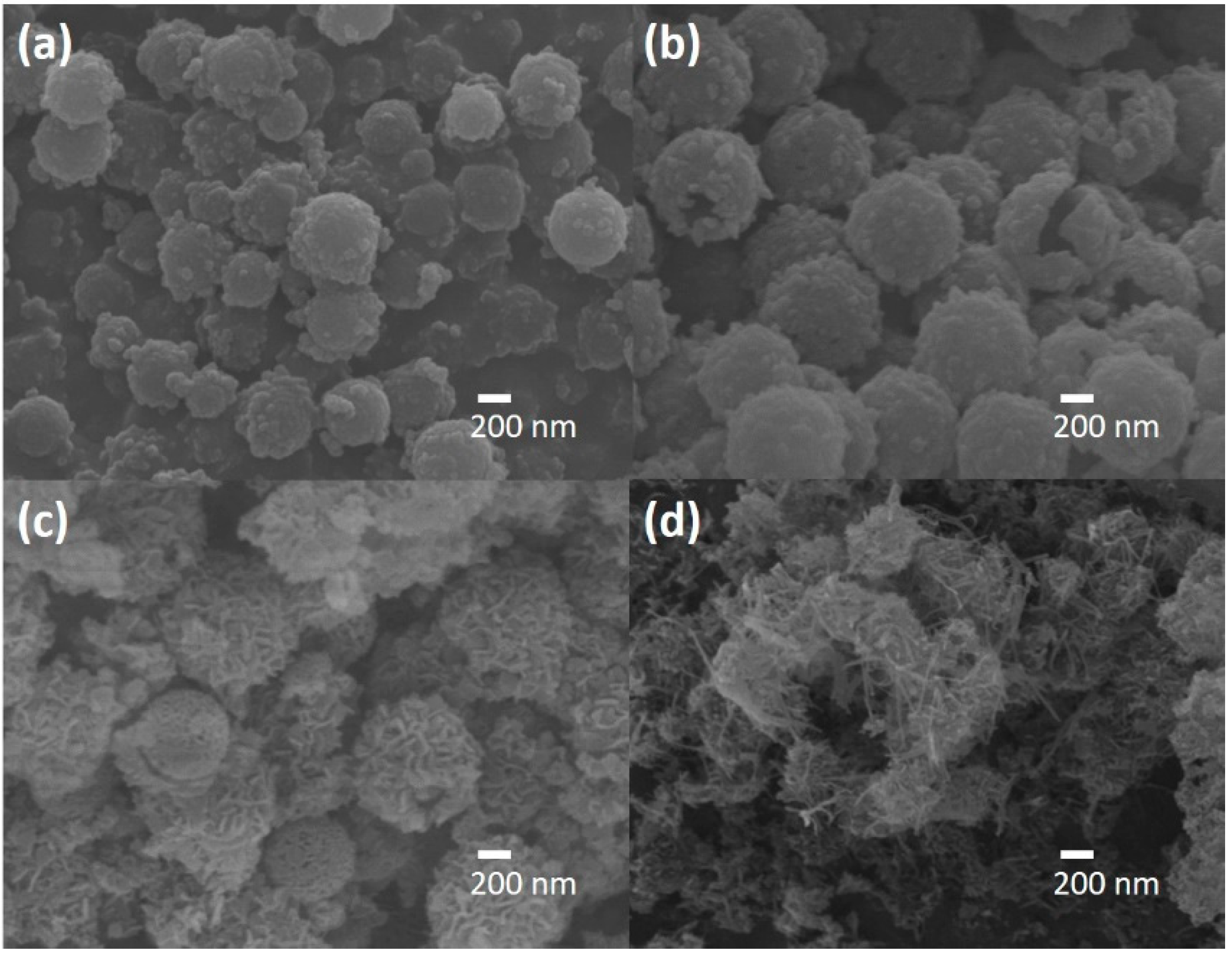 Catalysts 11 01532 g002 550