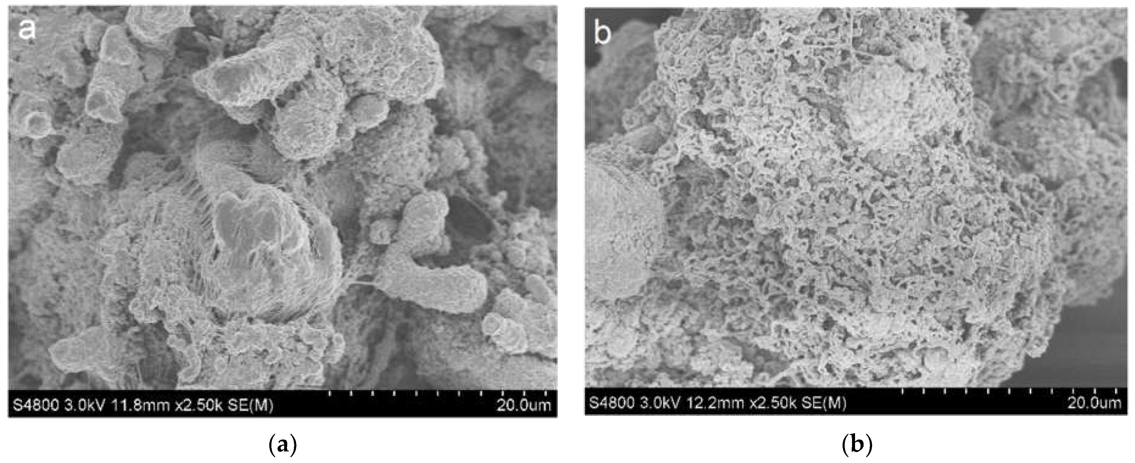 Catalysts 11 01535 g007 Catalysts 11 01535 g007