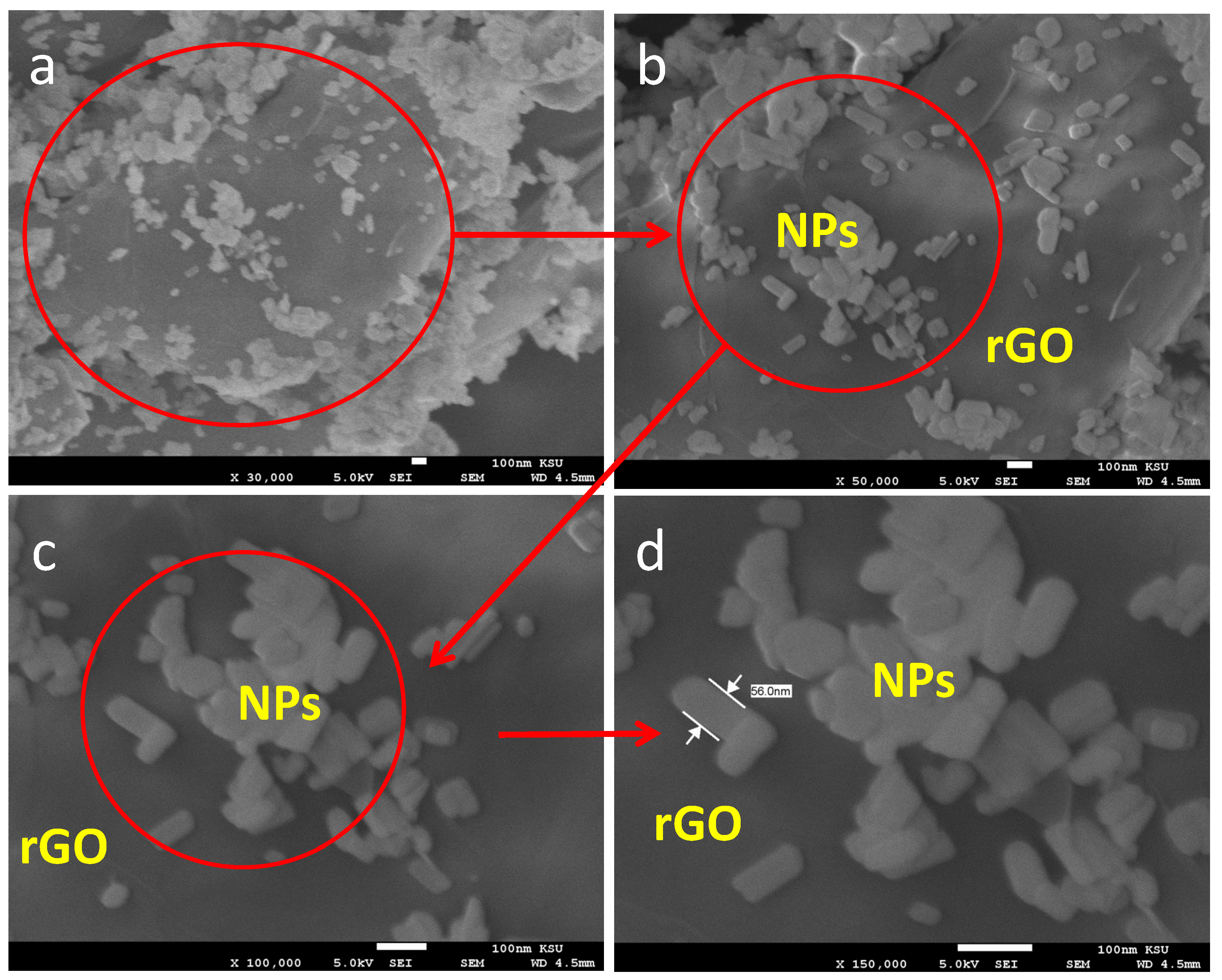 Catalysts 11 01536 g002 Catalysts 11 01536 g002