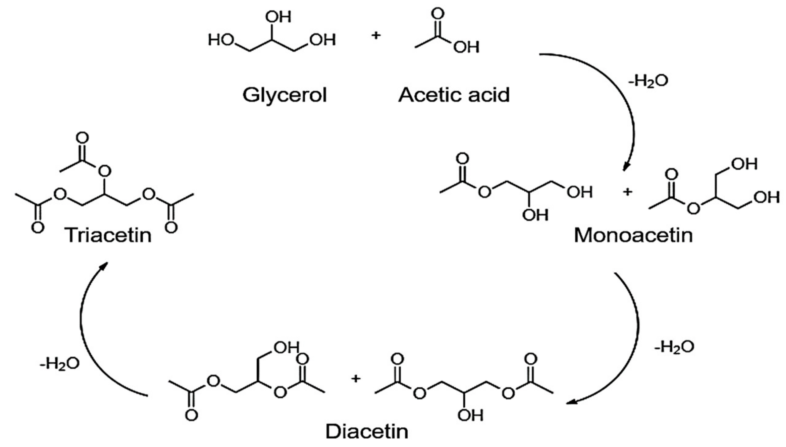 Catalysts 11 01542 g001 550