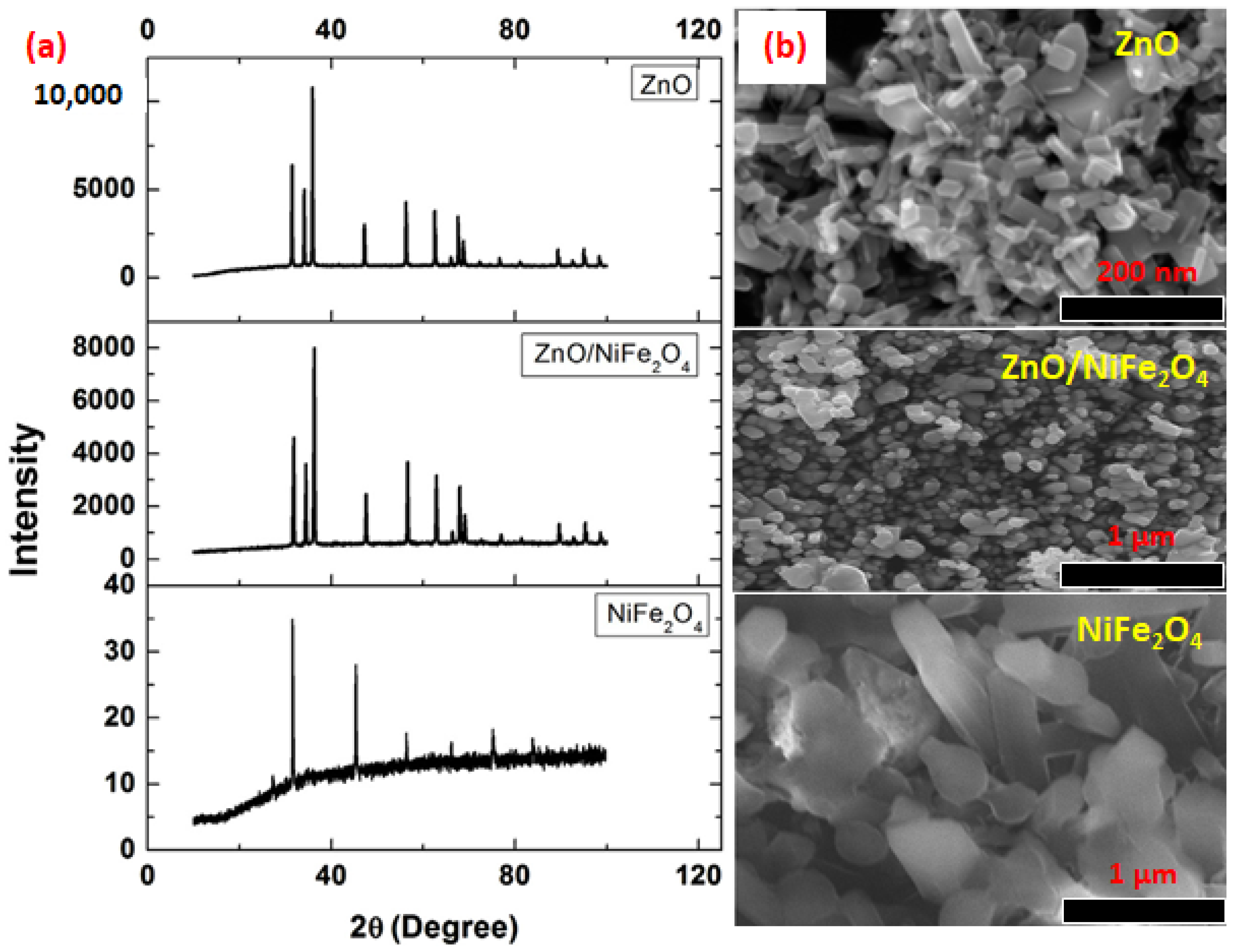 Catalysts 11 01543 g005 Catalysts 11 01543 g005