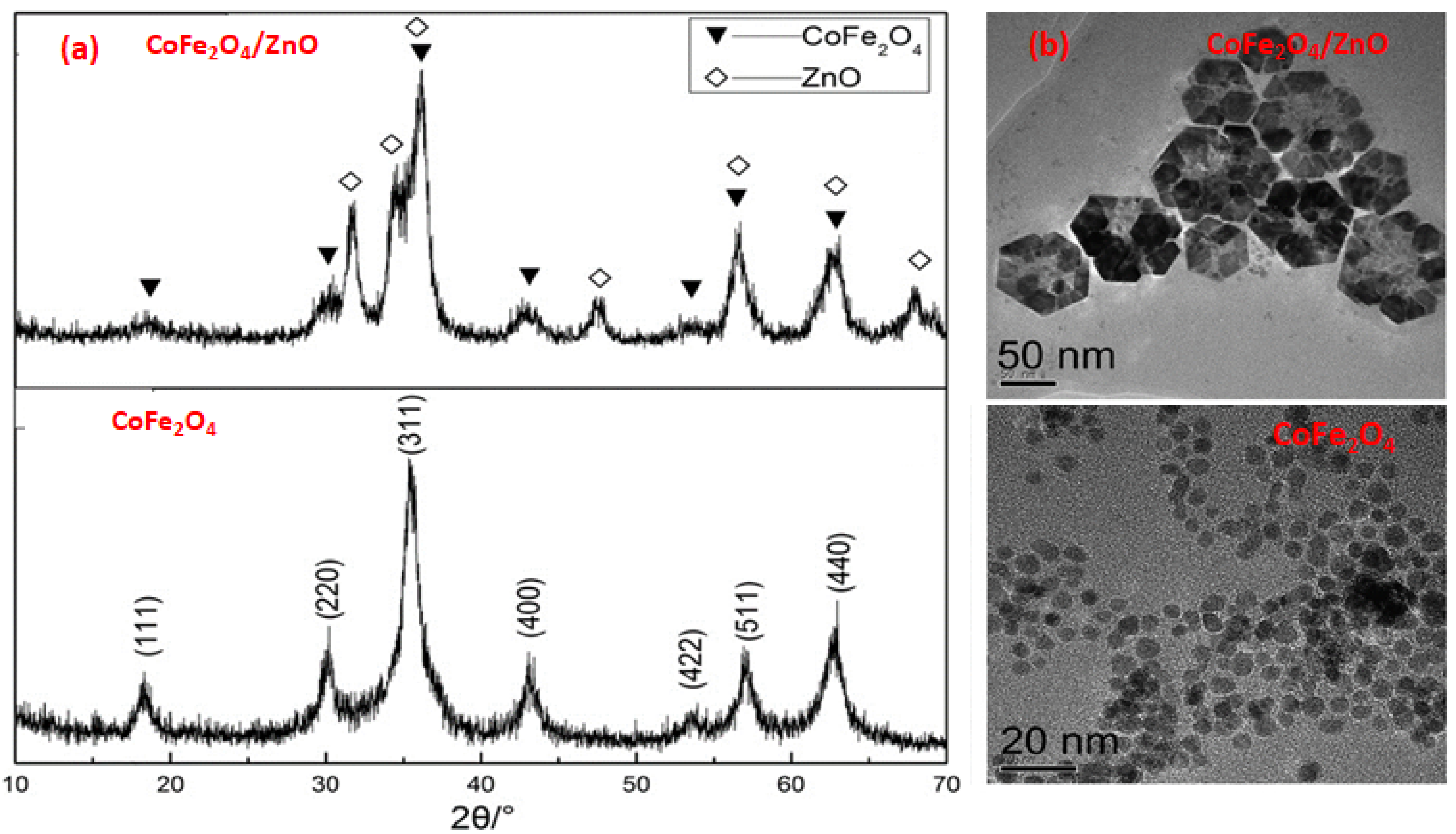 Catalysts 11 01543 g007 Catalysts 11 01543 g007
