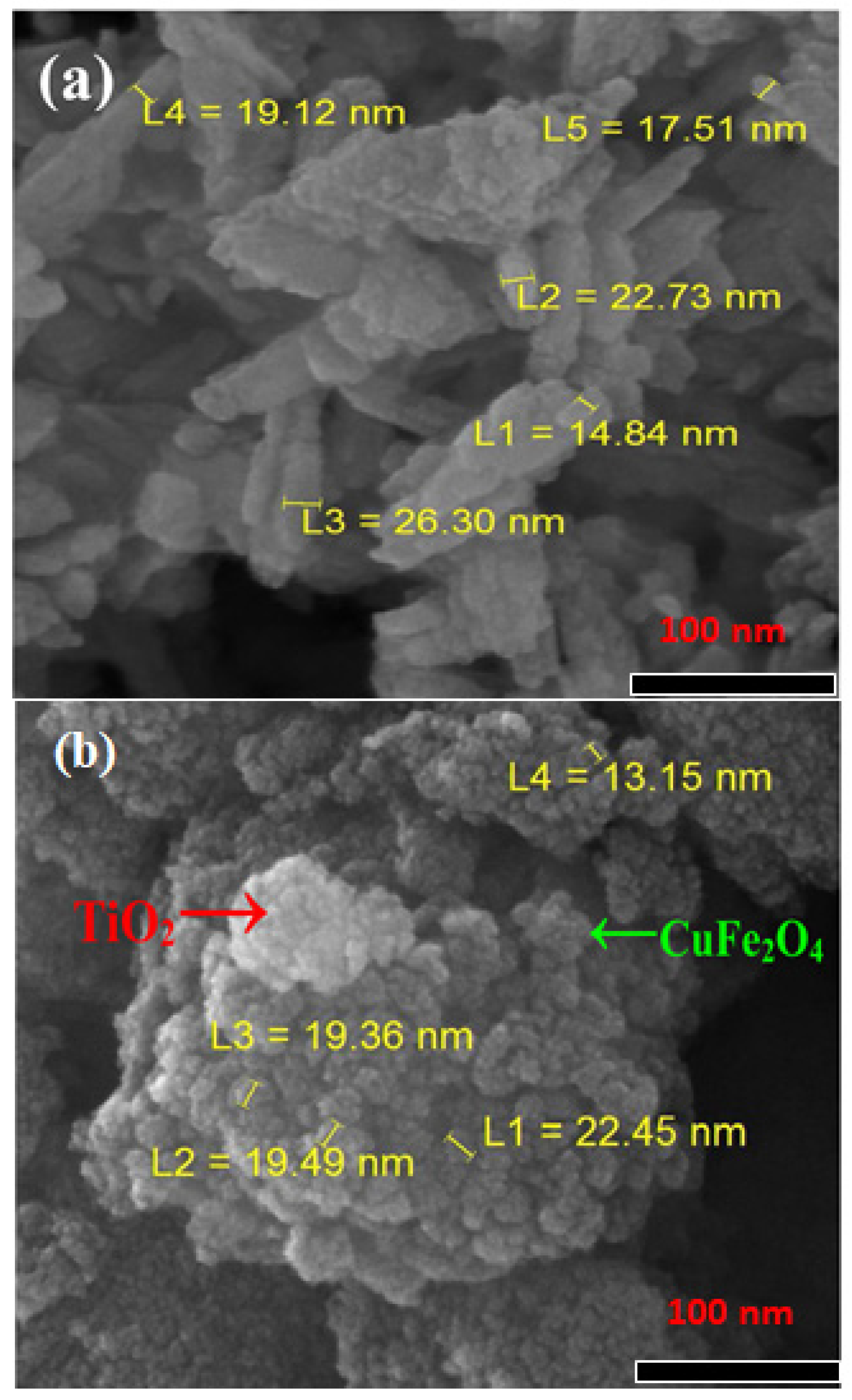 Catalysts 11 01543 g011 Catalysts 11 01543 g011