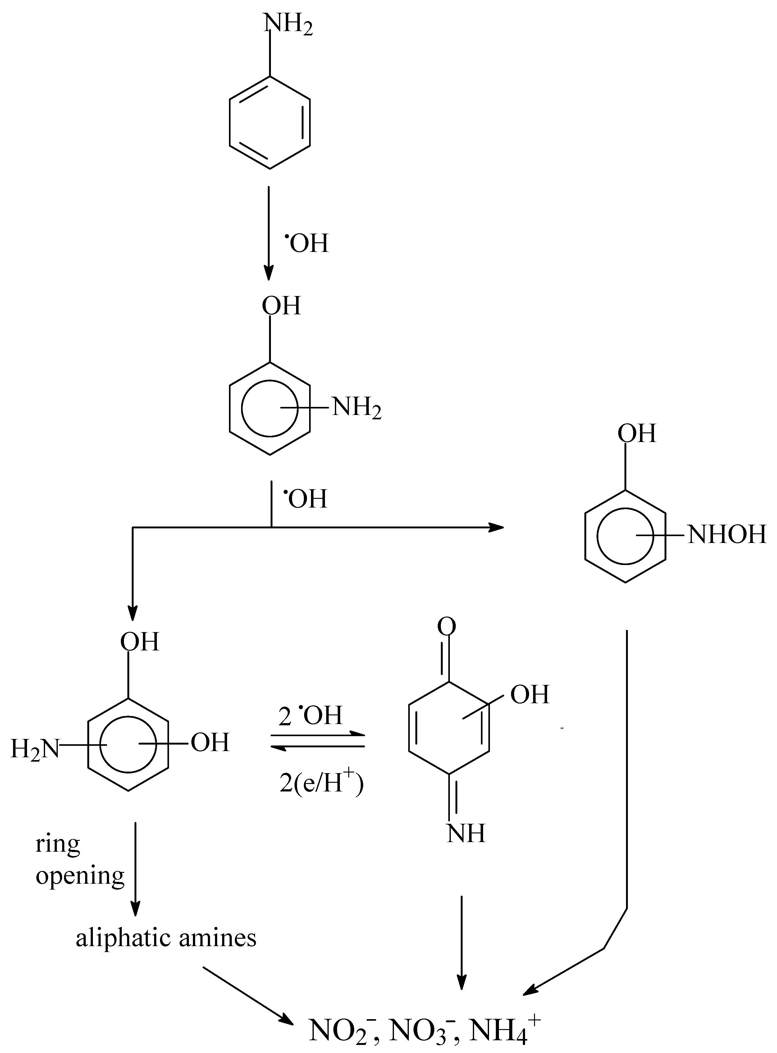 Catalysts 11 01548 g003