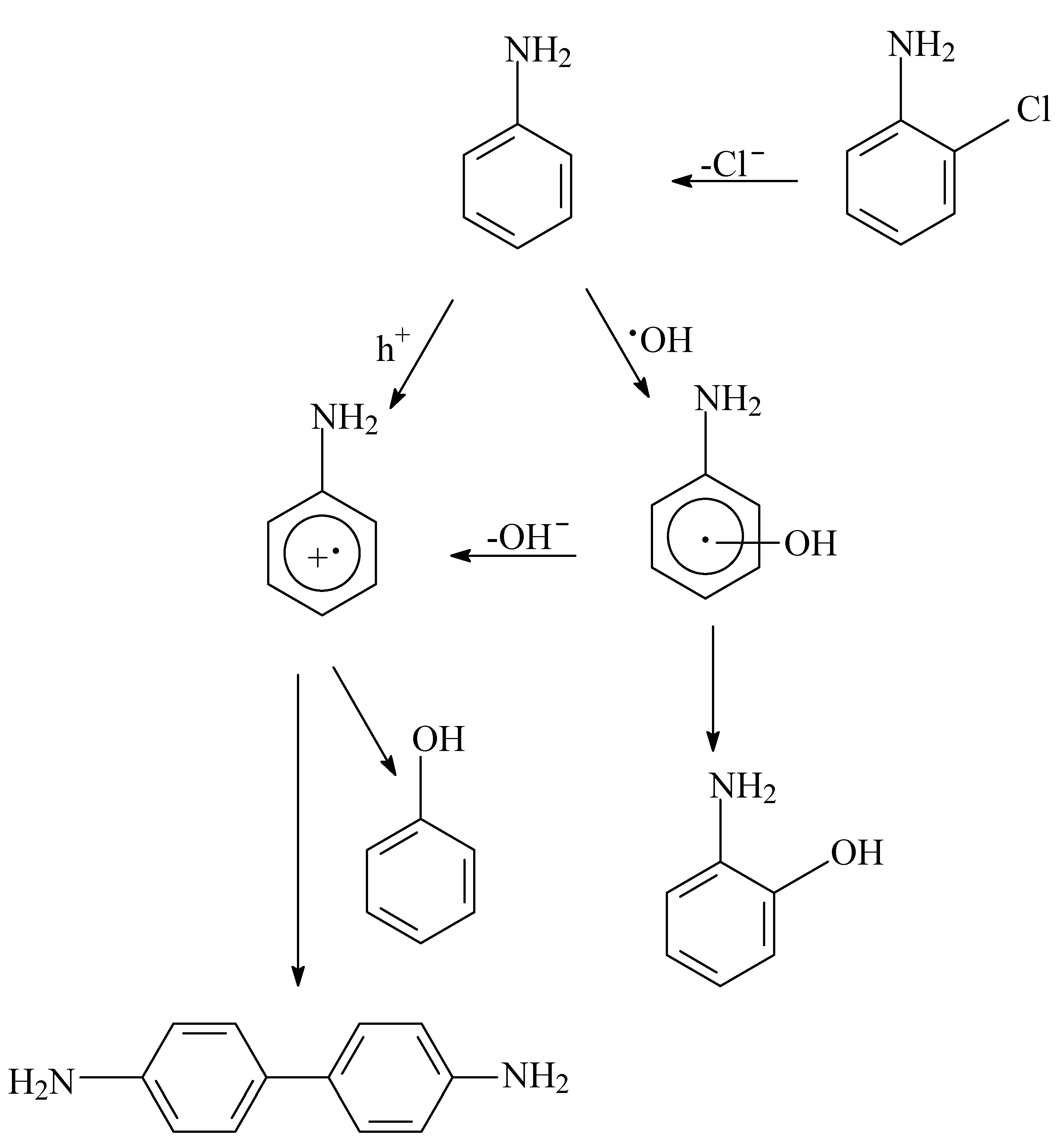 Catalysts 11 01548 g004