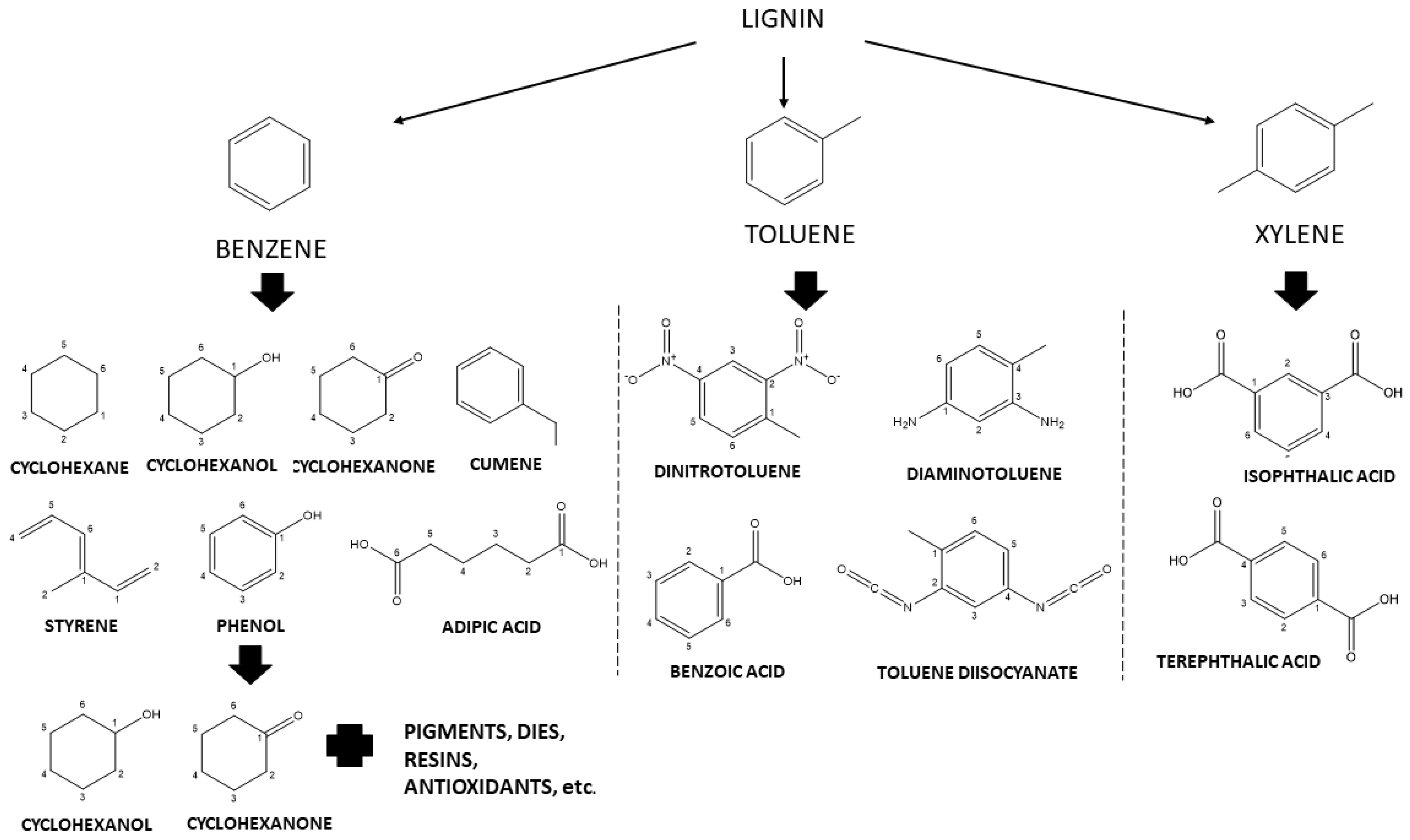 Catalysts 11 01549 g014