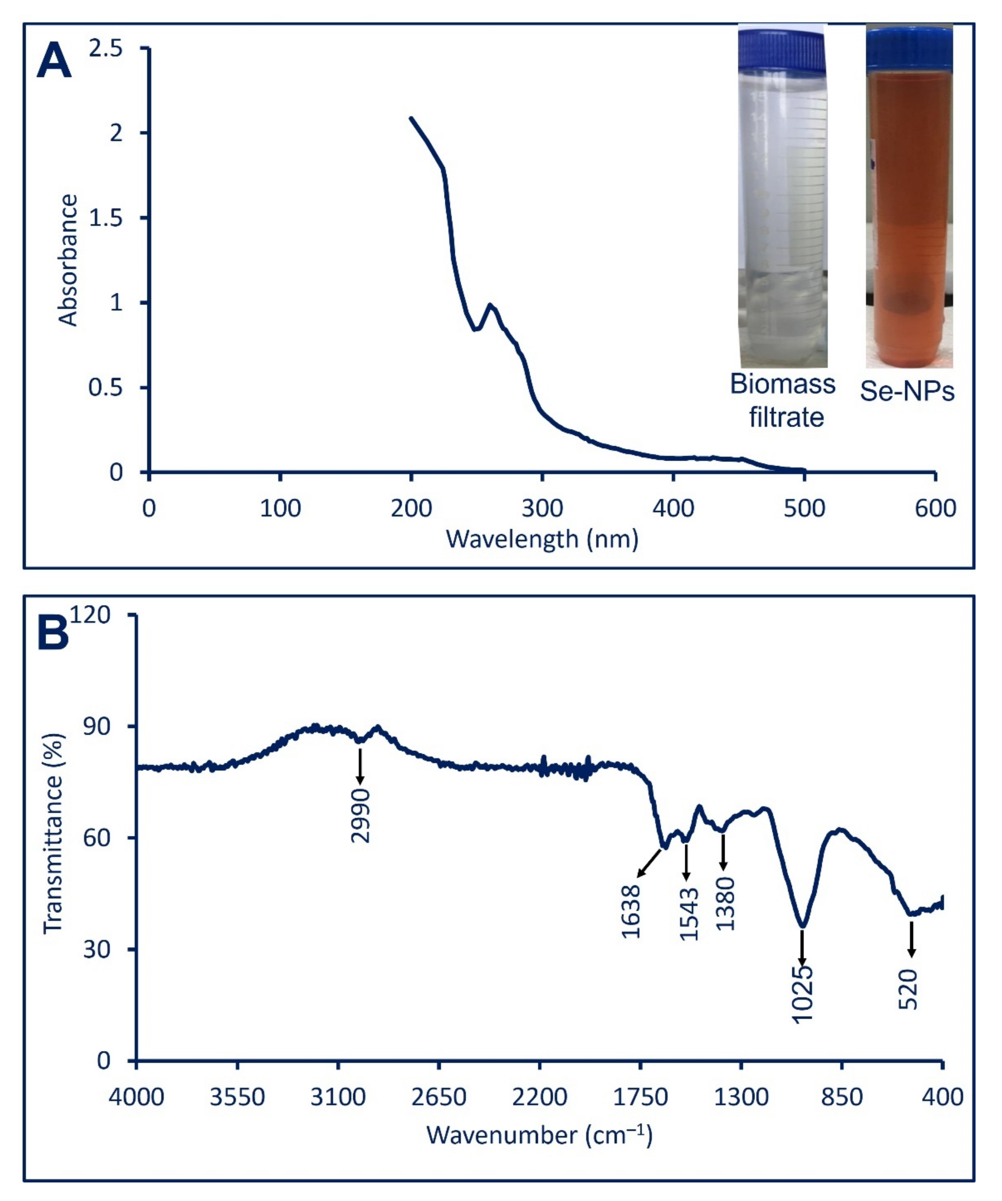 Catalysts 11 01551 g001