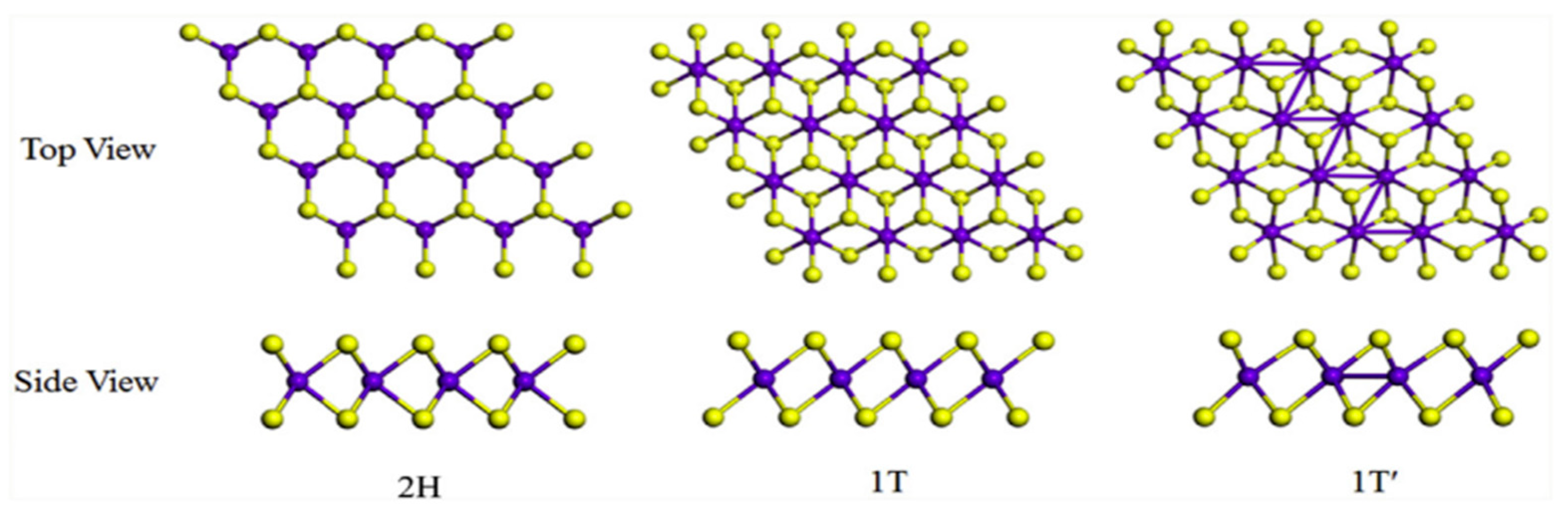 Catalysts 11 01553 g003 550