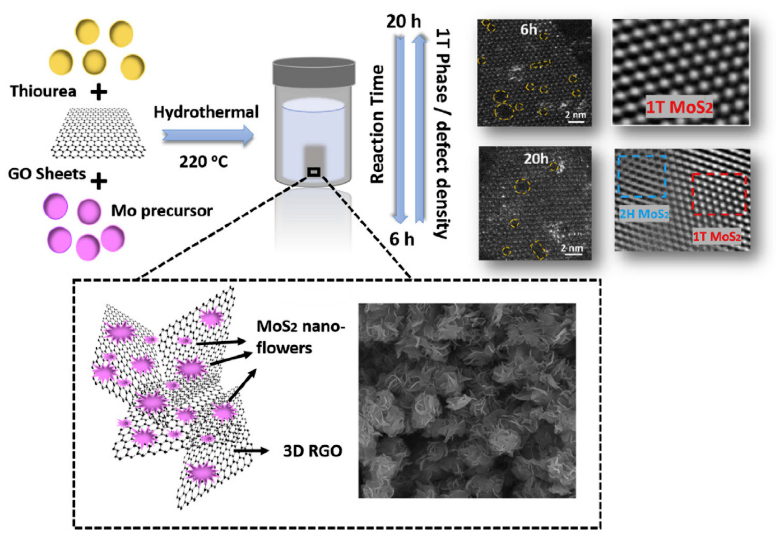 Catalysts 11 01553 g005 550