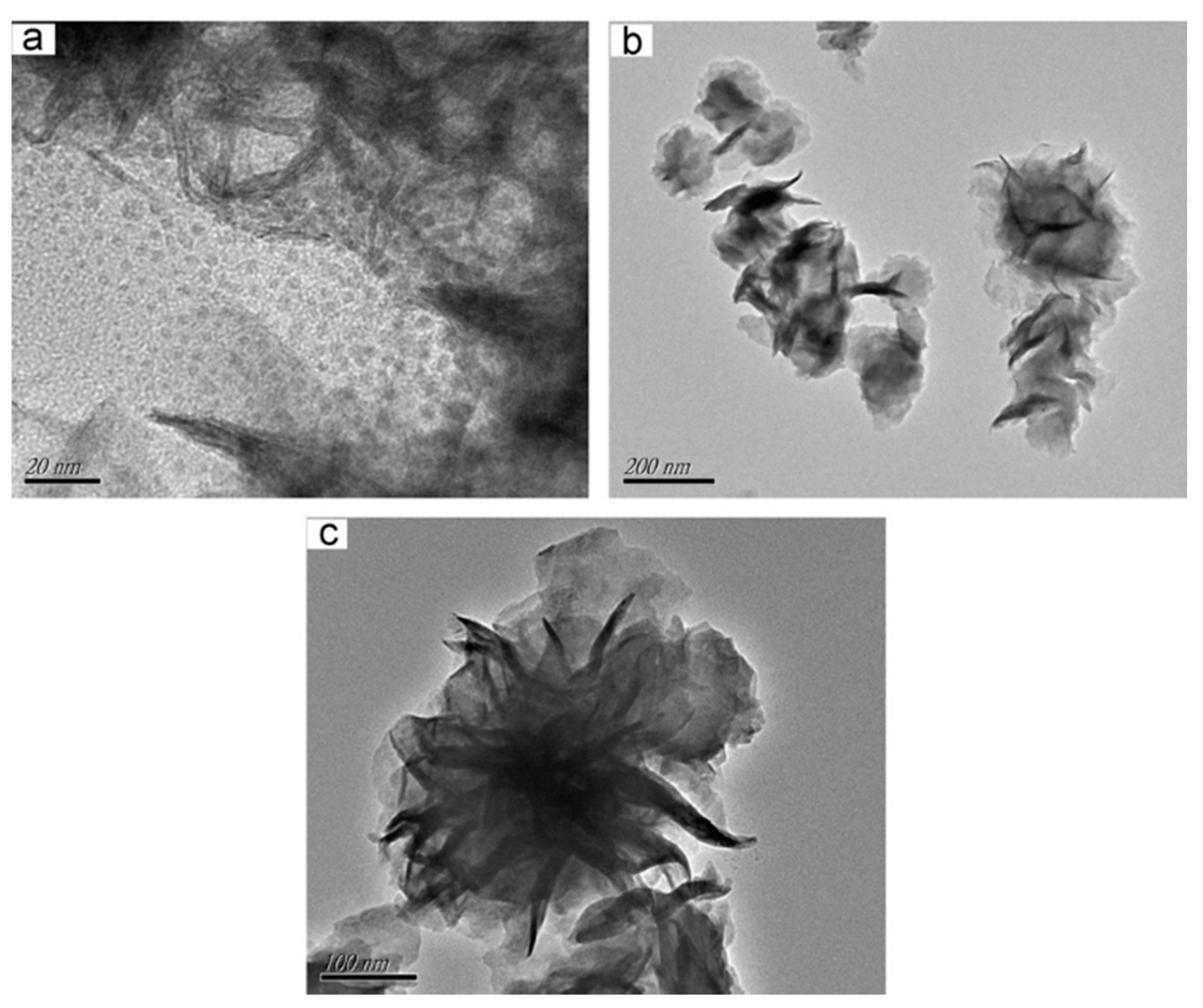Catalysts 11 01553 g006 550