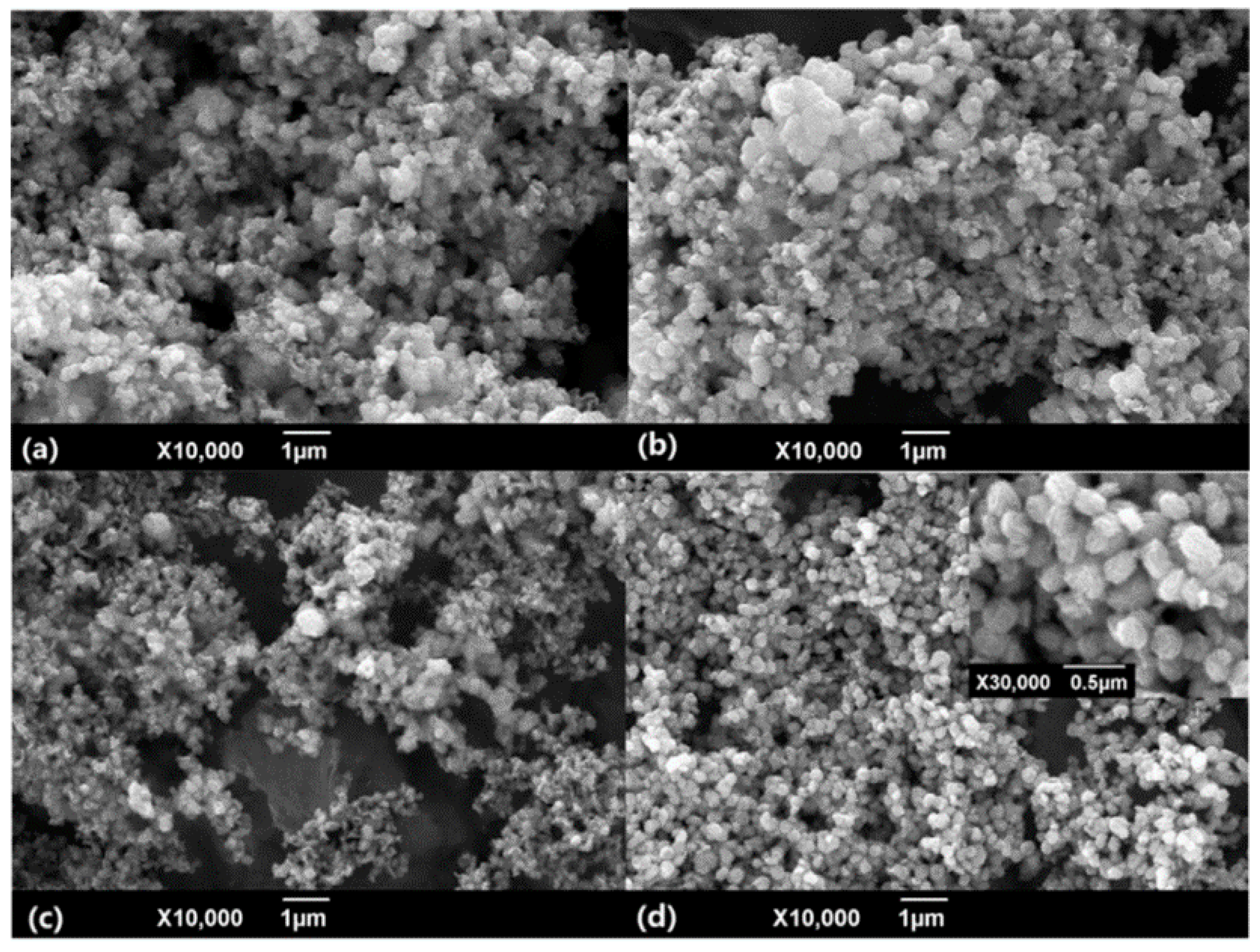 Catalysts 11 01553 g007 550