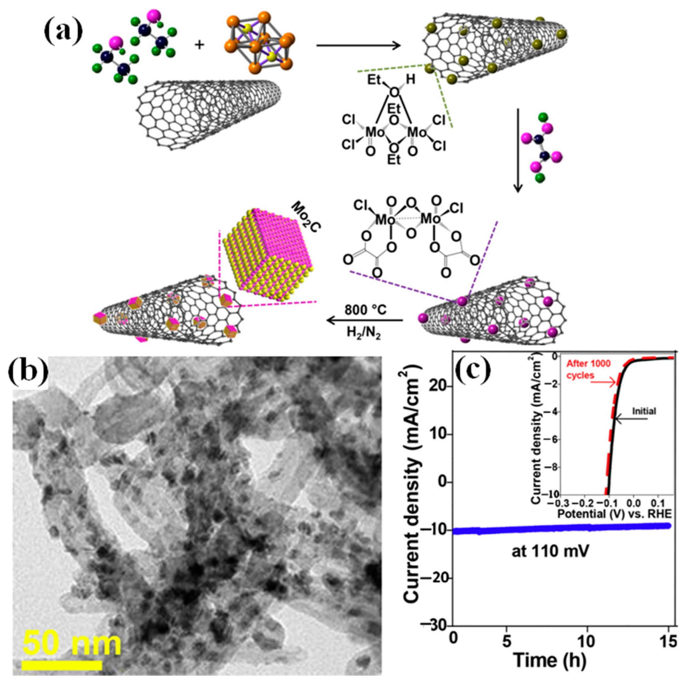 Catalysts 12 00002 g001 550