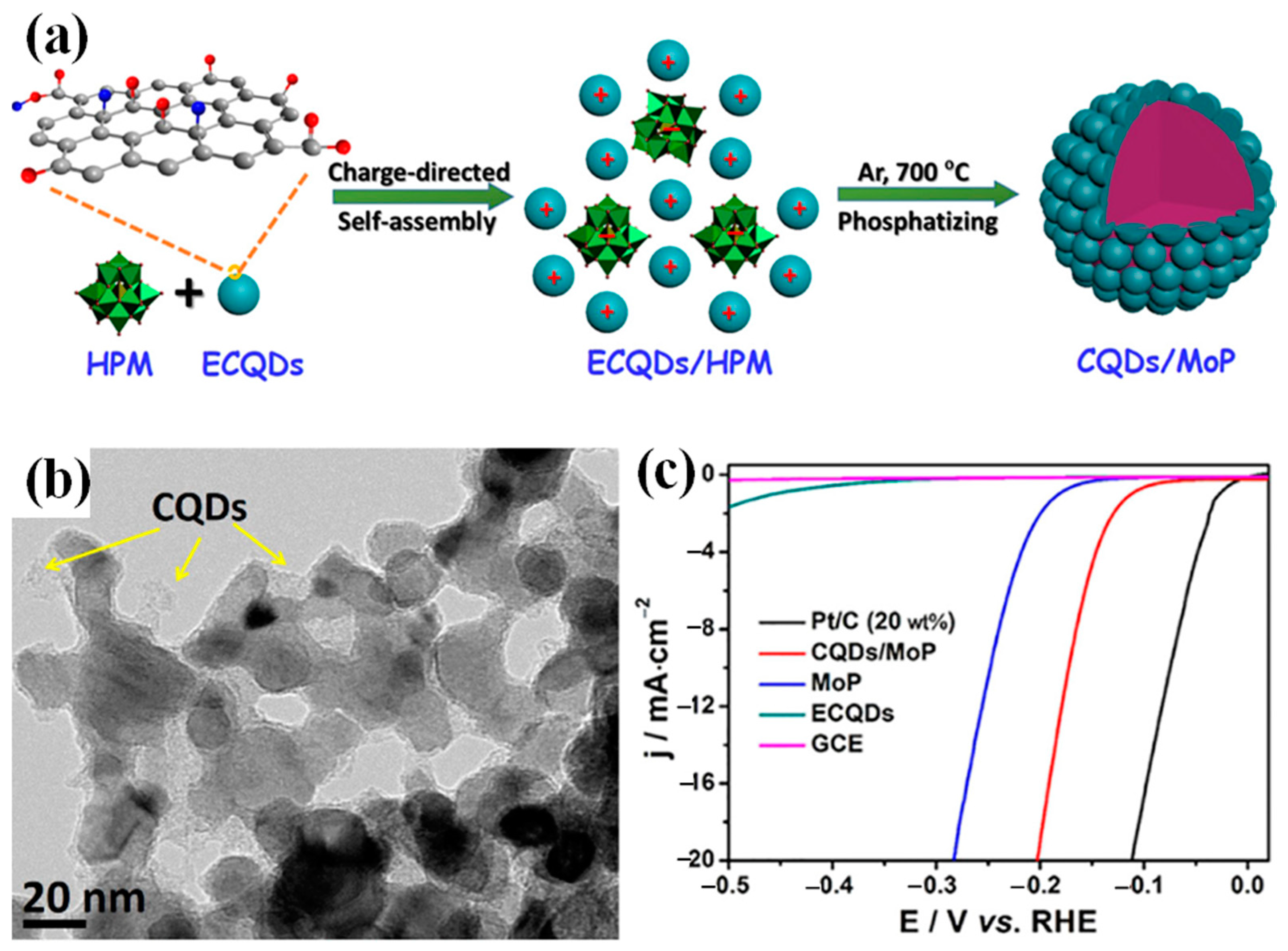Catalysts 12 00002 g002 550
