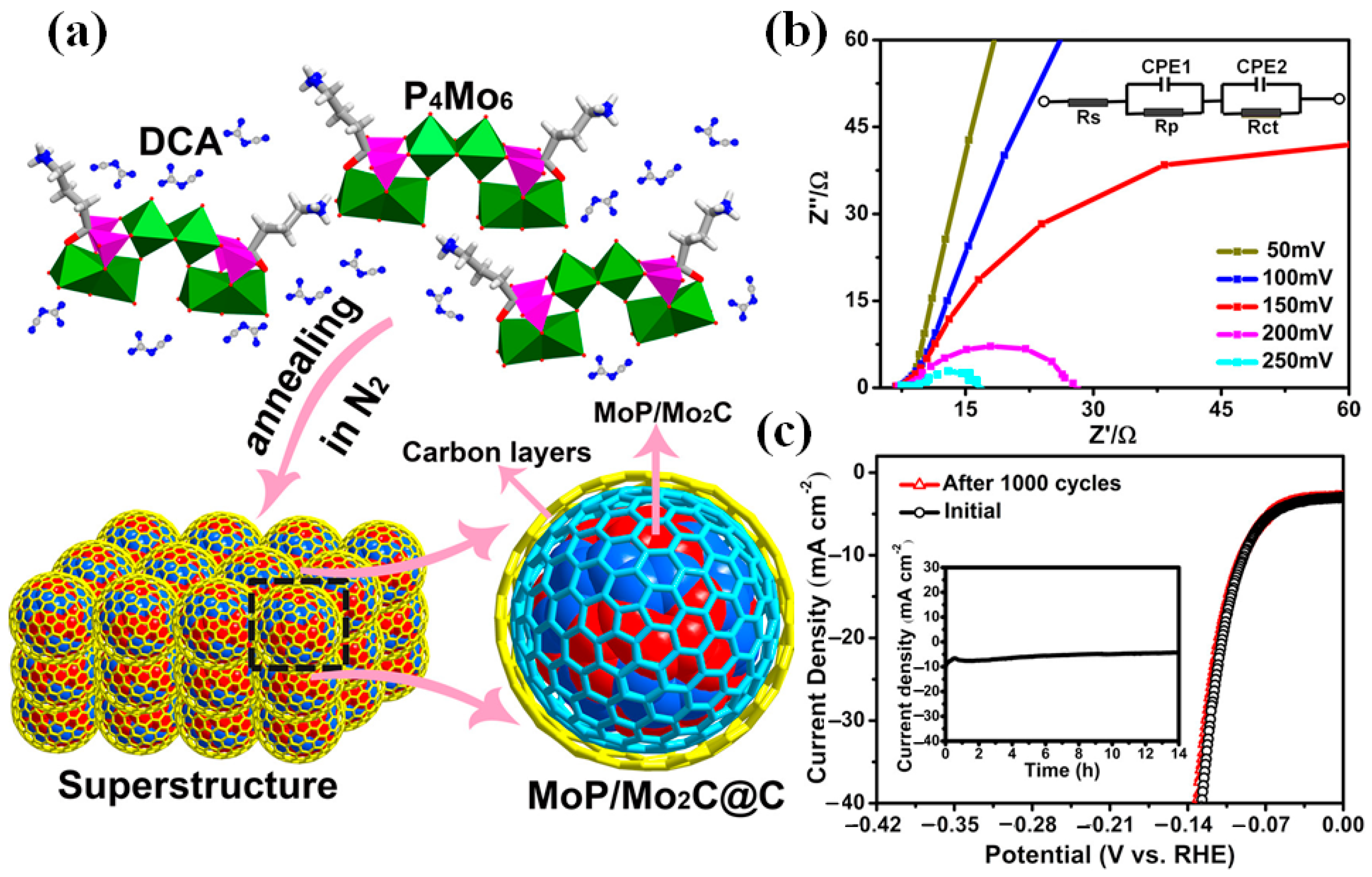 Catalysts 12 00002 g005 550