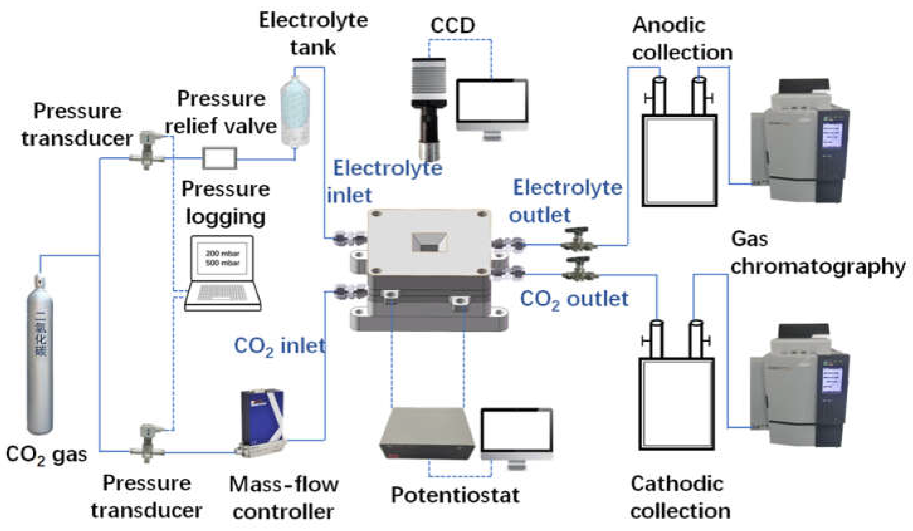 Catalysts 12 00003 g001 550