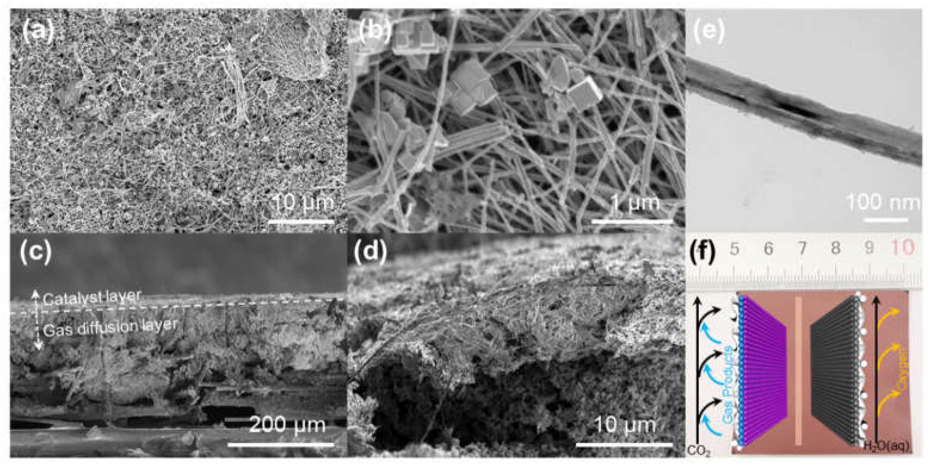 Catalysts 12 00003 g003 550