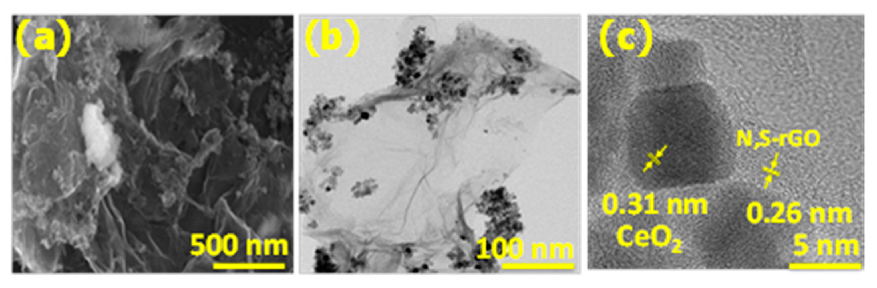 Catalysts 12 00006 g003 550