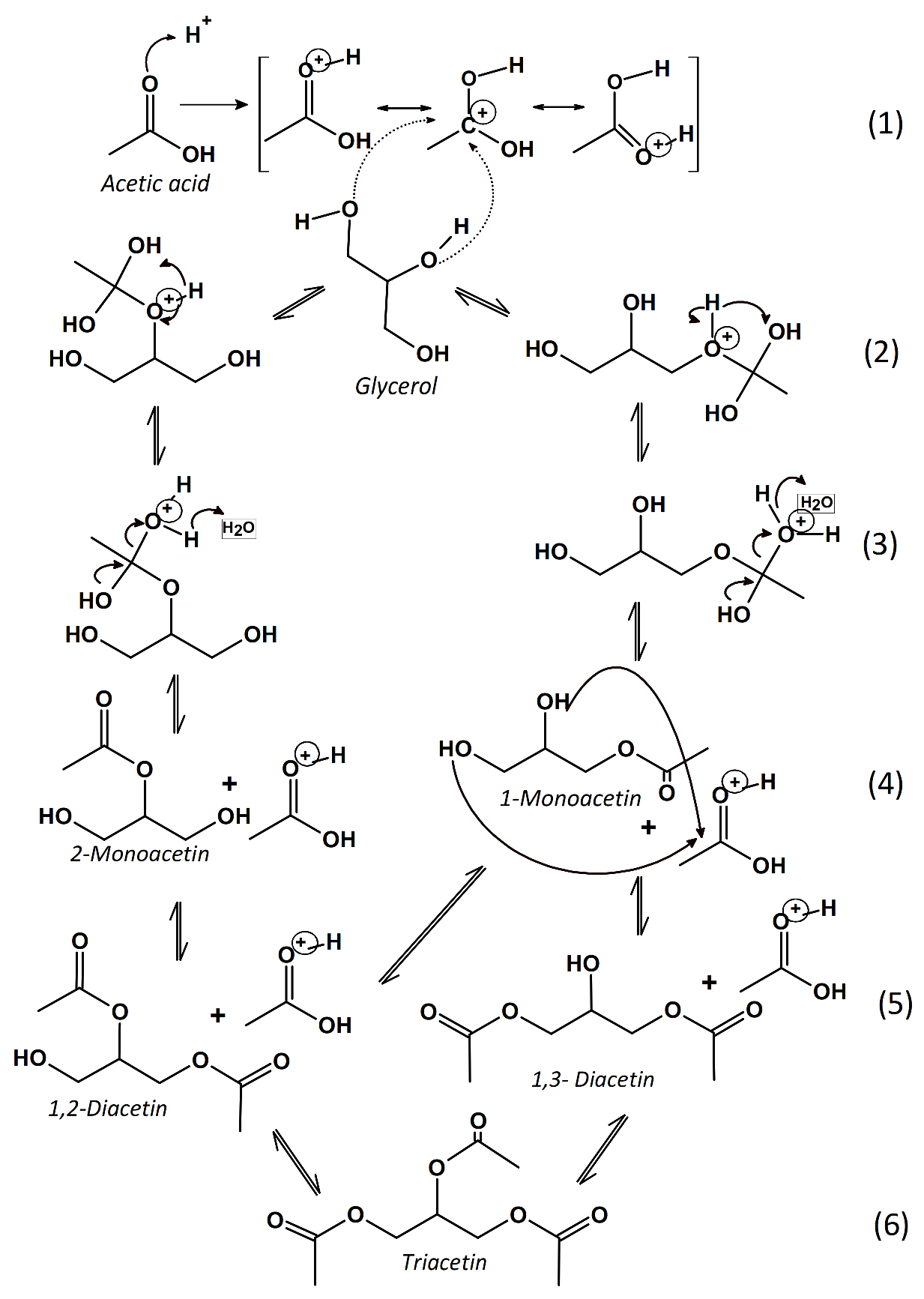 Catalysts 12 00010 g003 550