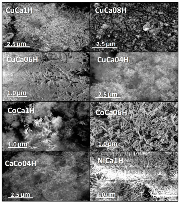 Catalysts 12 00010 g008 550