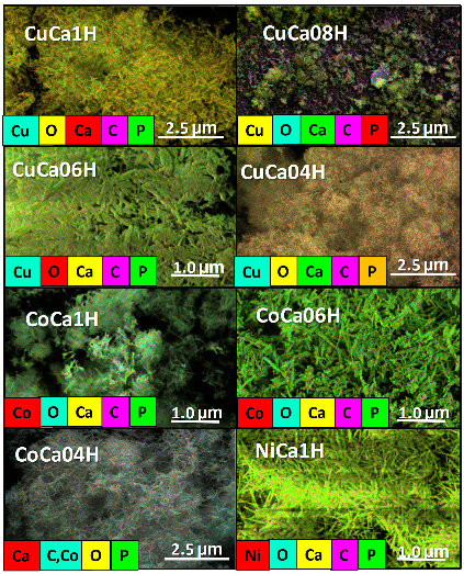 Catalysts 12 00010 g009 550
