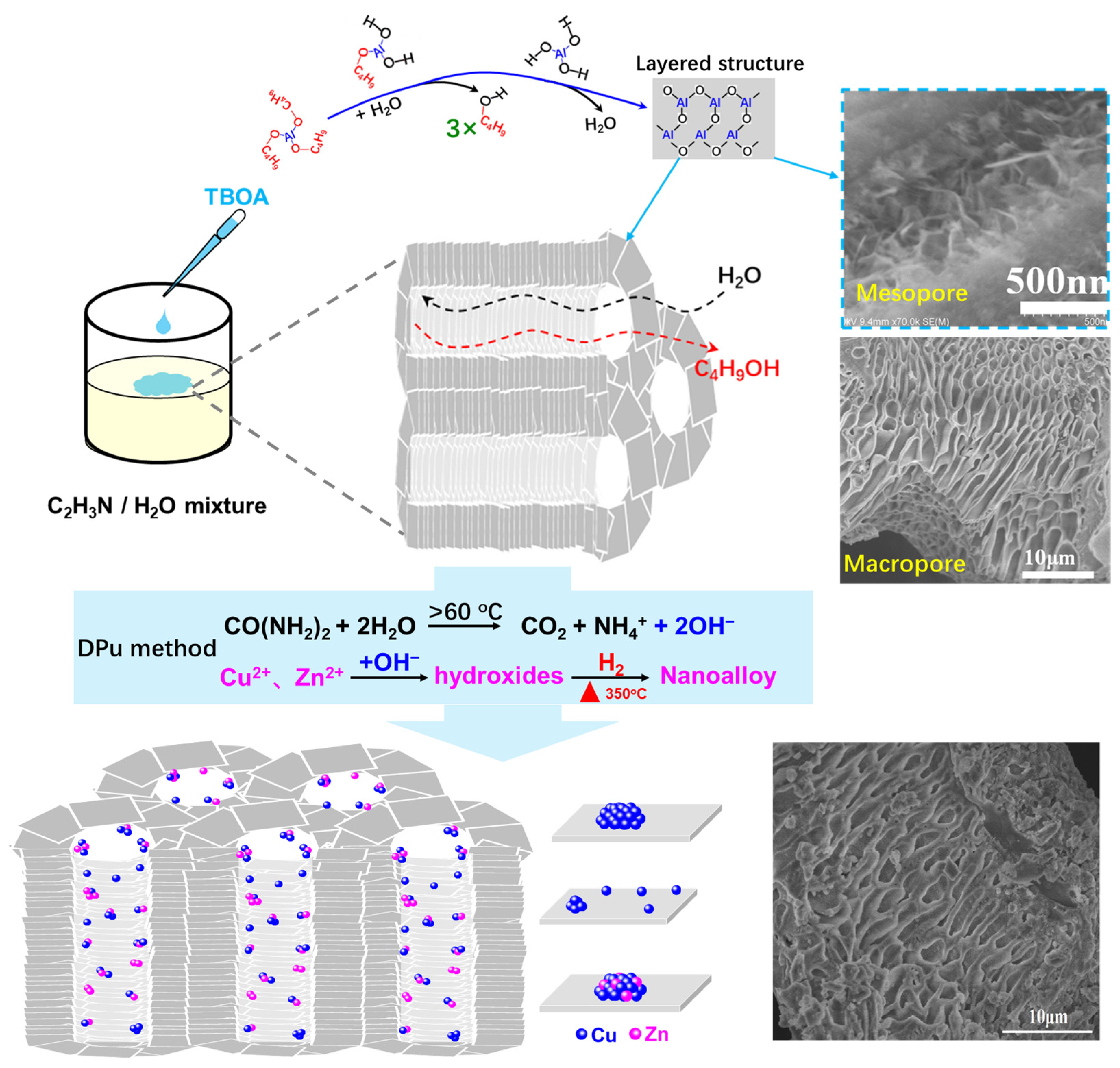Catalysts 12 00012 g001