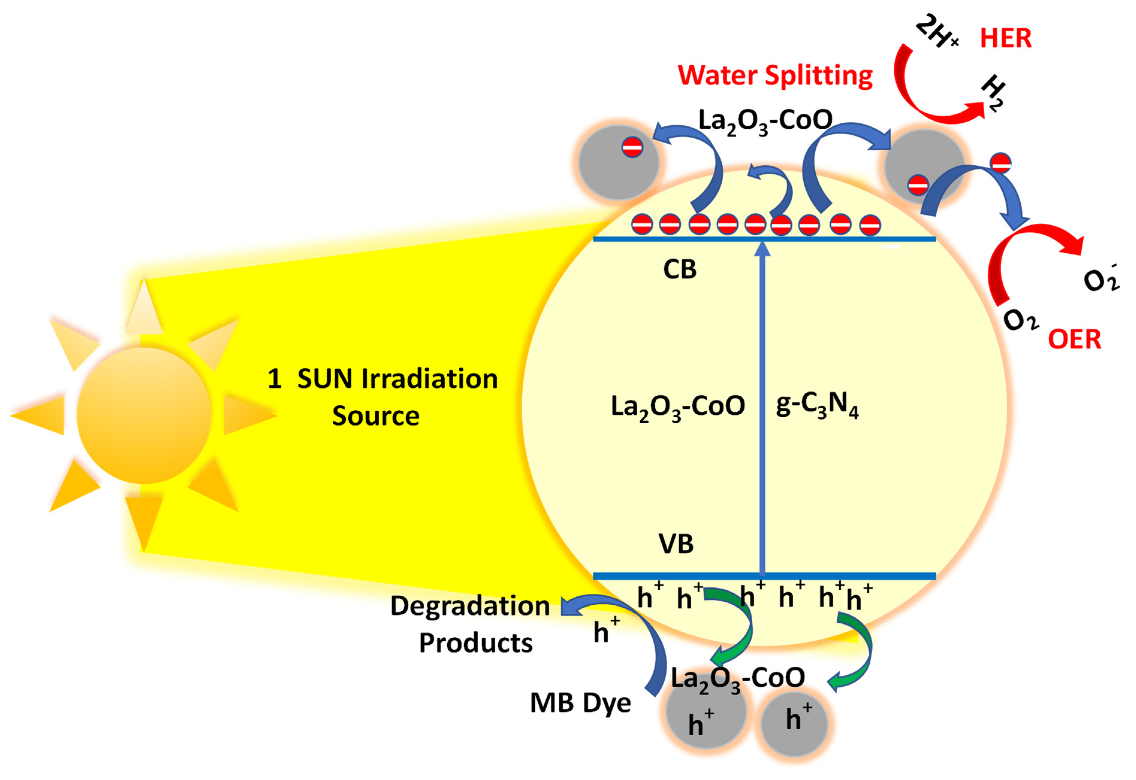 Catalysts 12 00015 g008 550