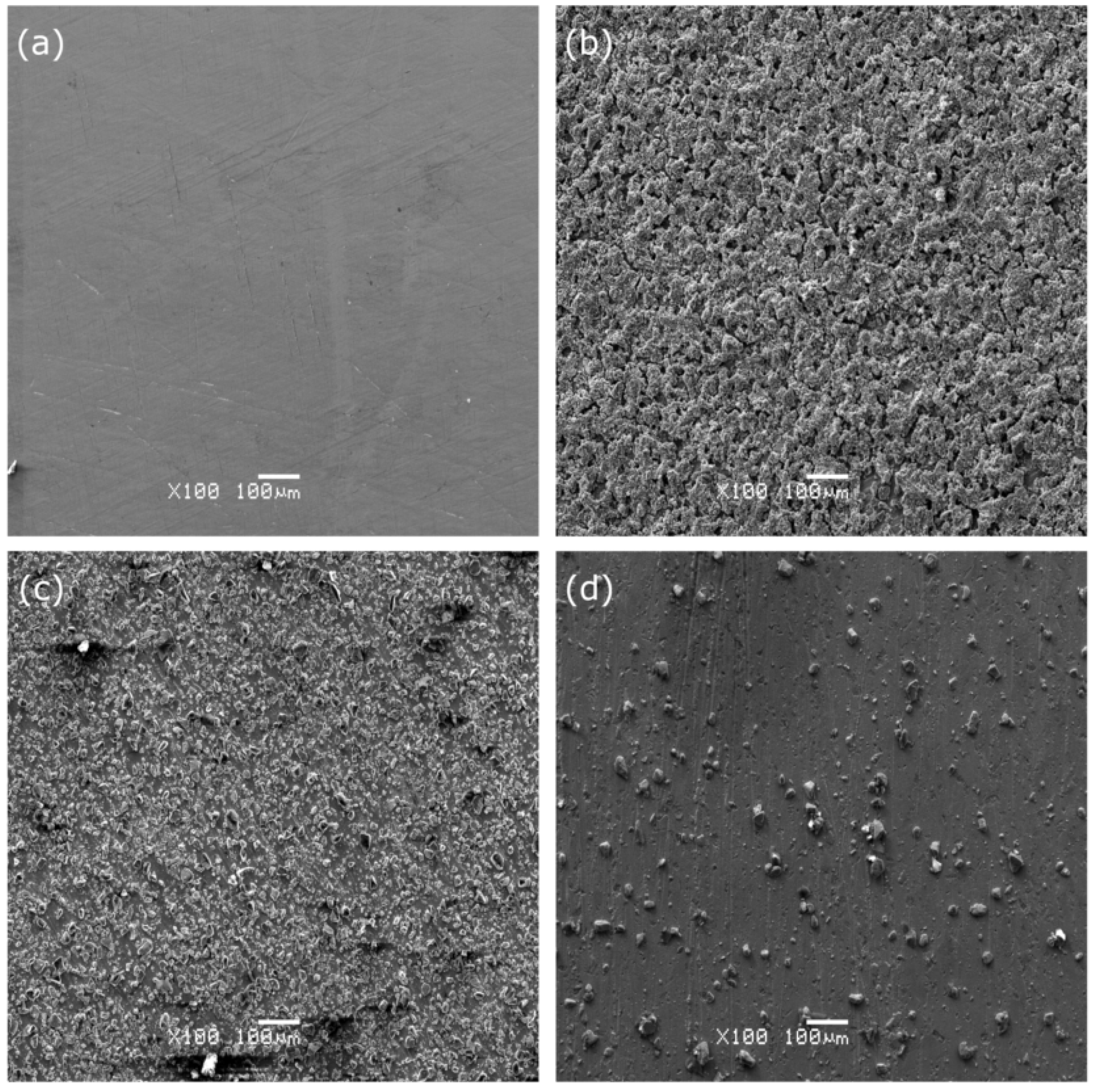 Catalysts 12 00021 g002 550