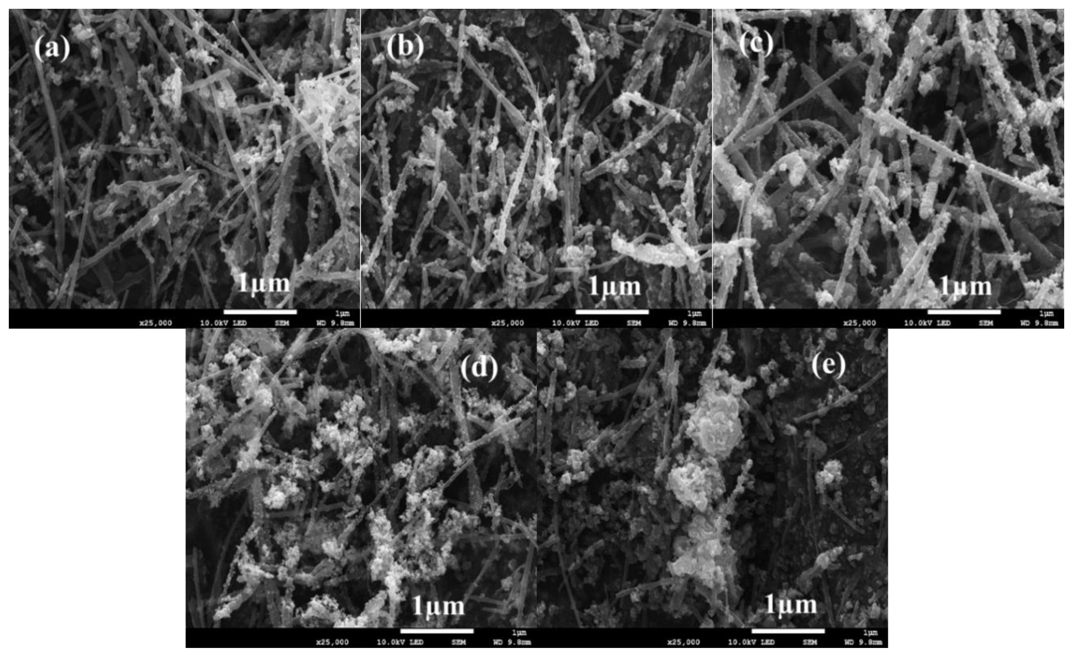 Catalysts 12 00023 g001