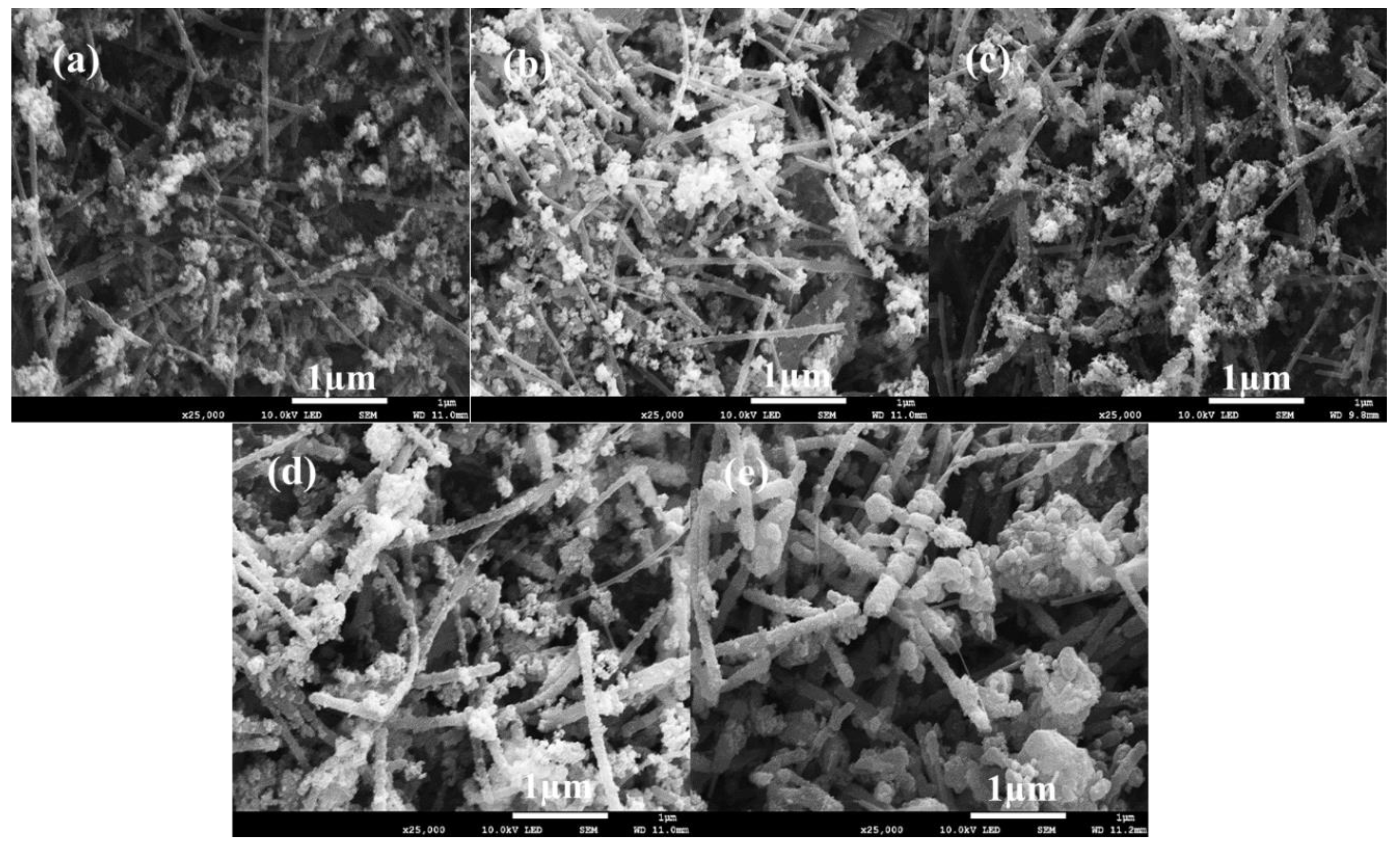 Catalysts 12 00023 g002