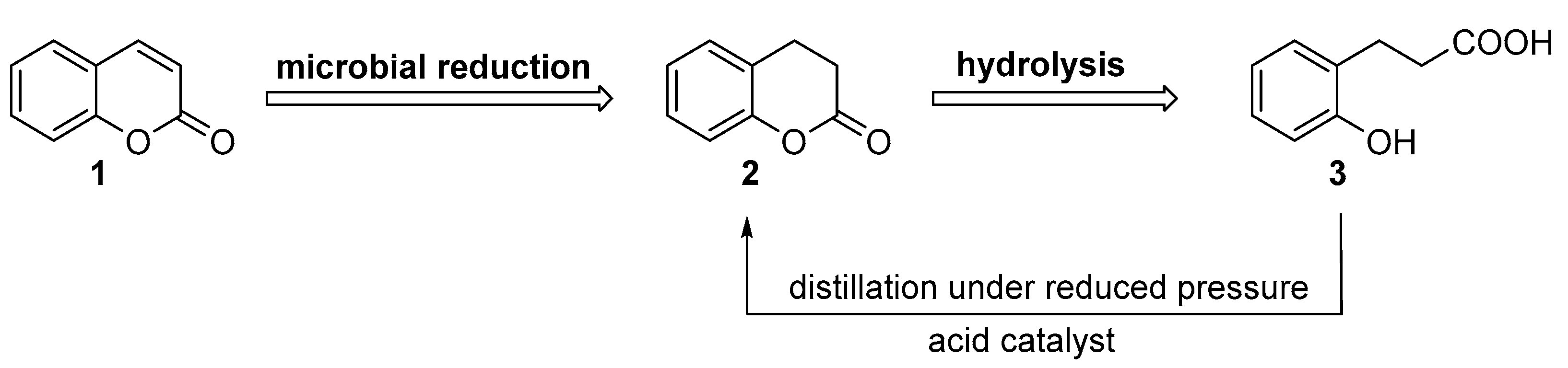 Catalysts 12 00028 g002 550