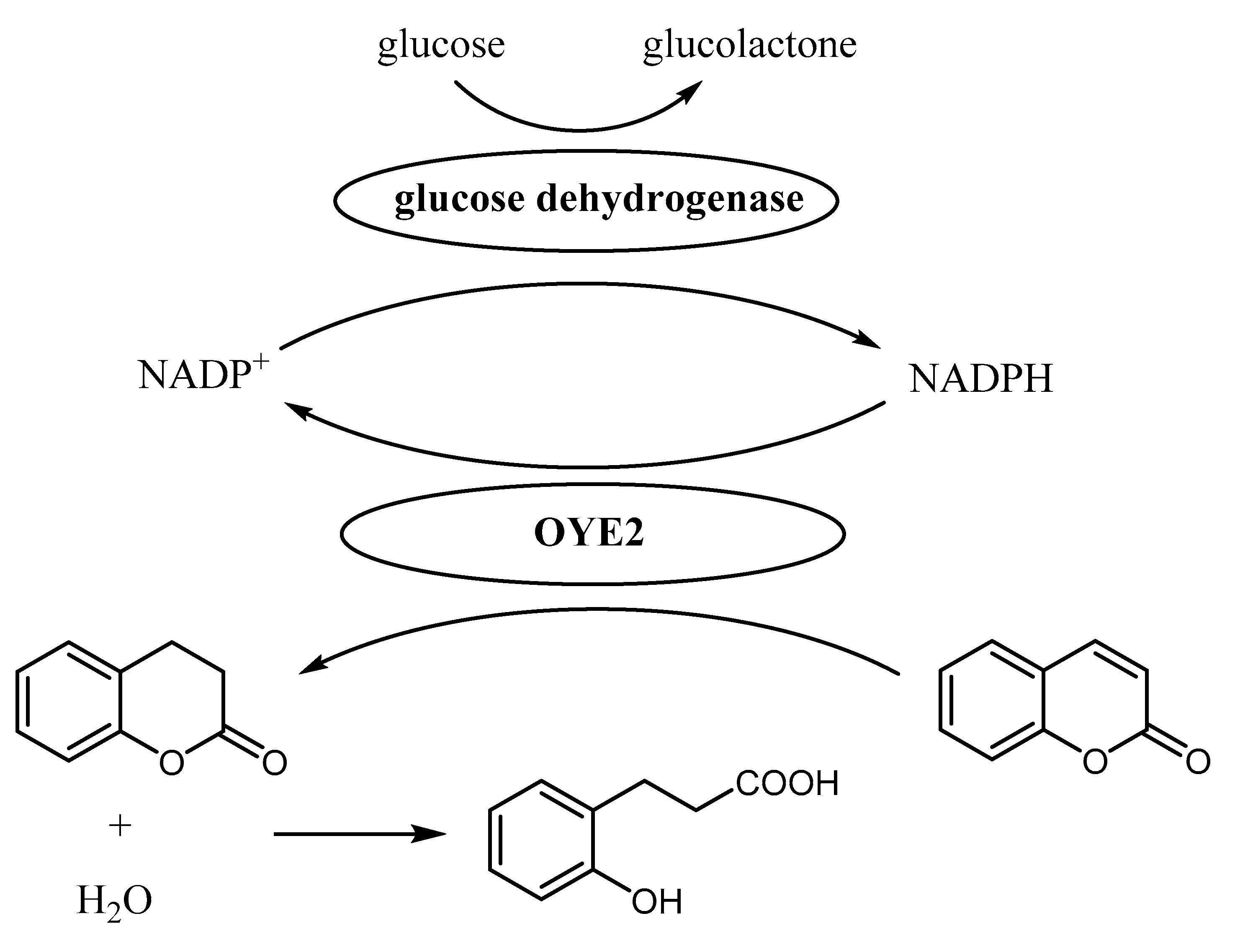 Catalysts 12 00028 g003 550