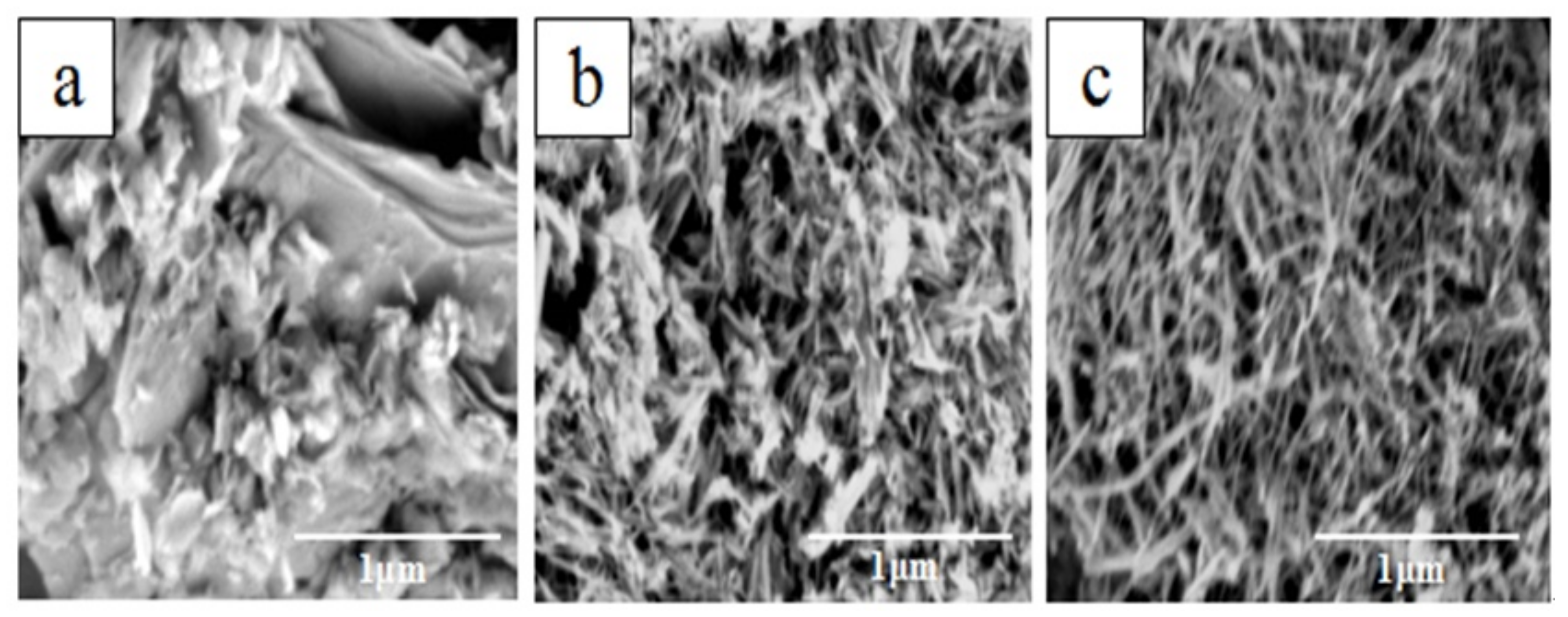 Catalysts 12 00029 g003
