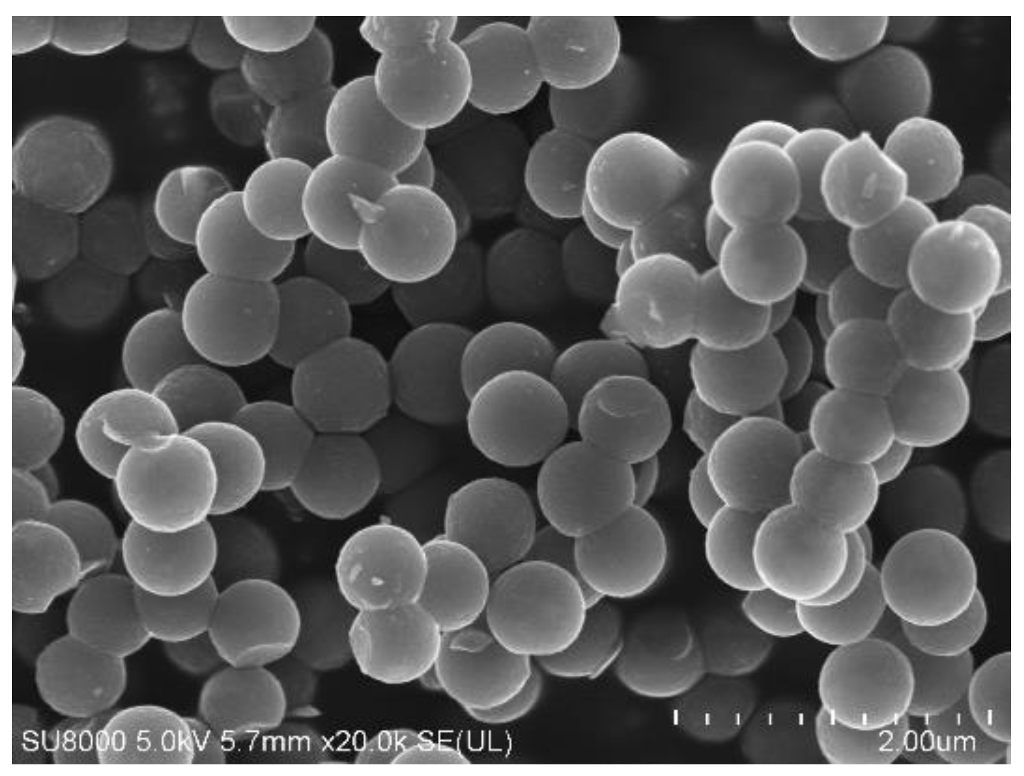 Catalysts 12 00031 g002 550