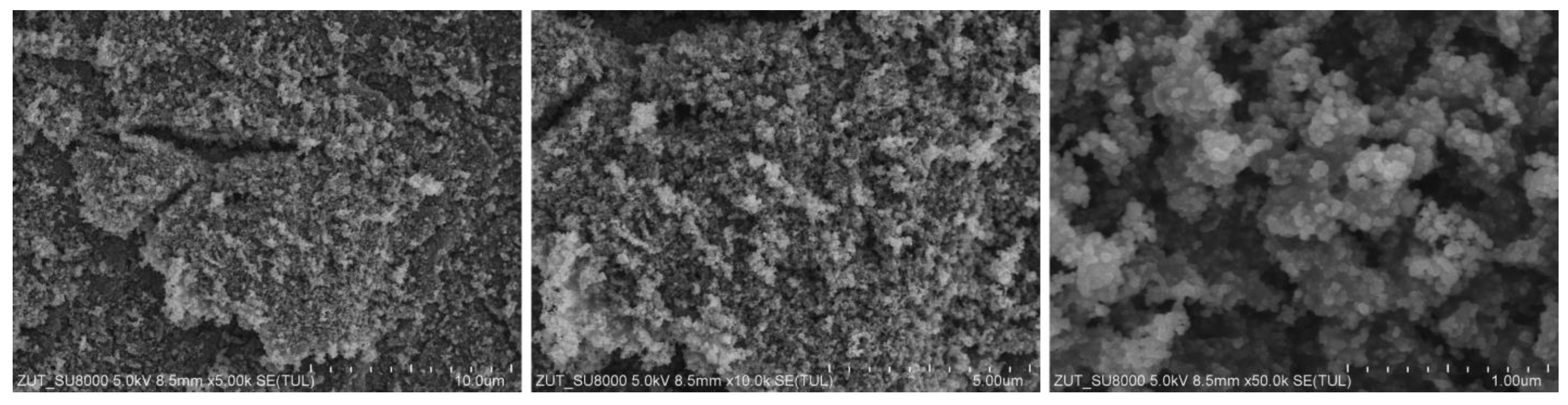 Catalysts 12 00031 g004 550