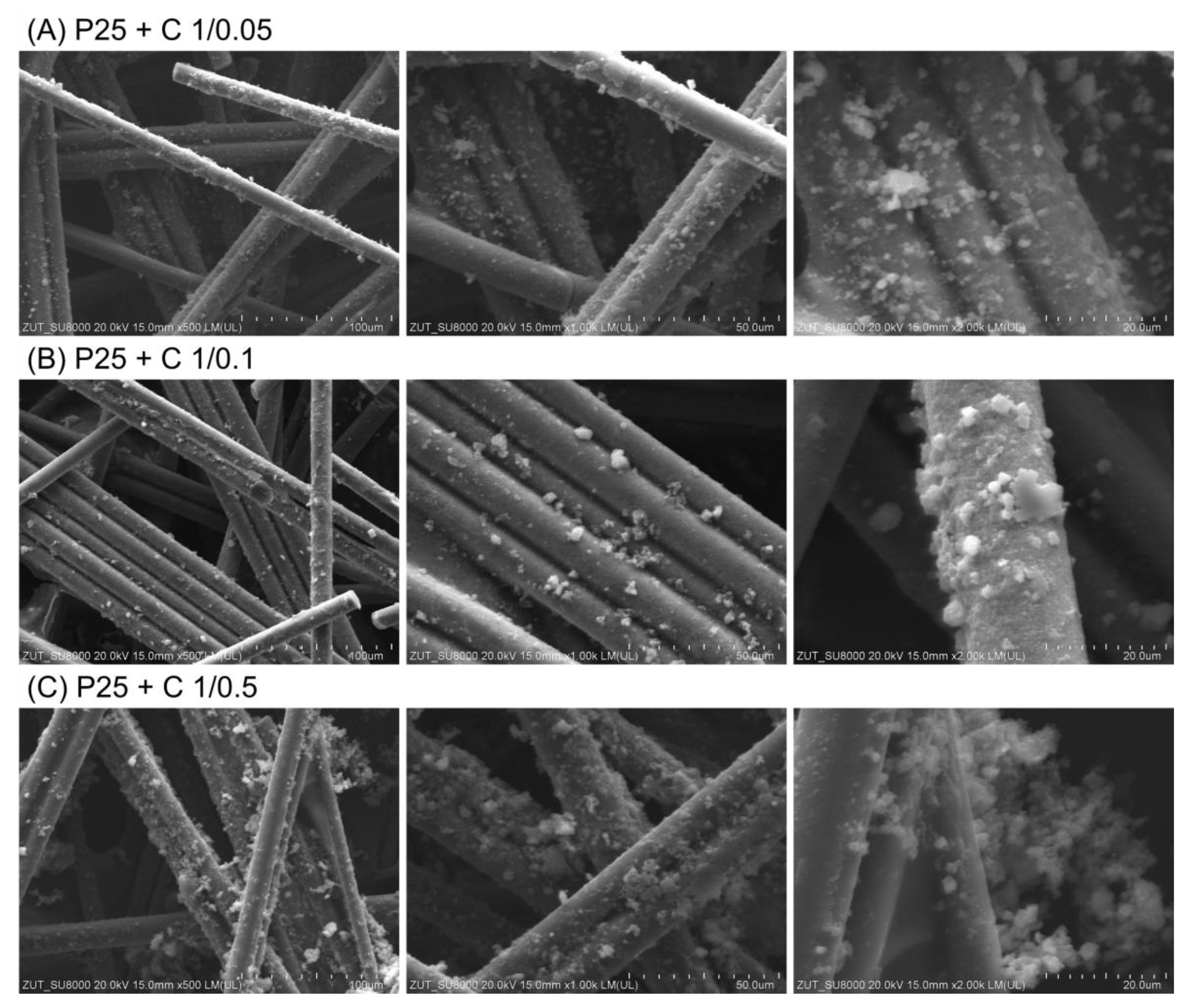 Catalysts 12 00031 g007 550