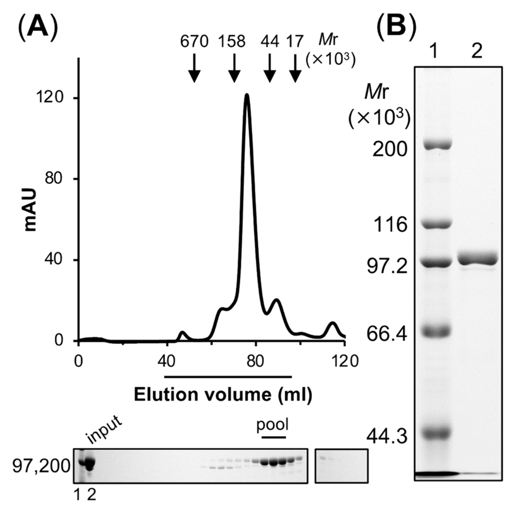 Catalysts 12 00034 g001 Catalysts 12 00034 g001