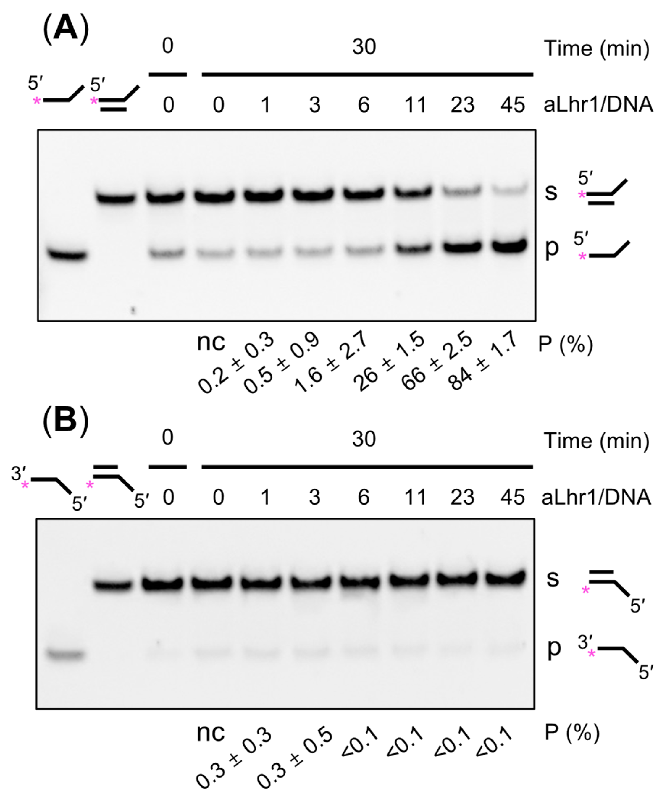 Catalysts 12 00034 g003 Catalysts 12 00034 g003