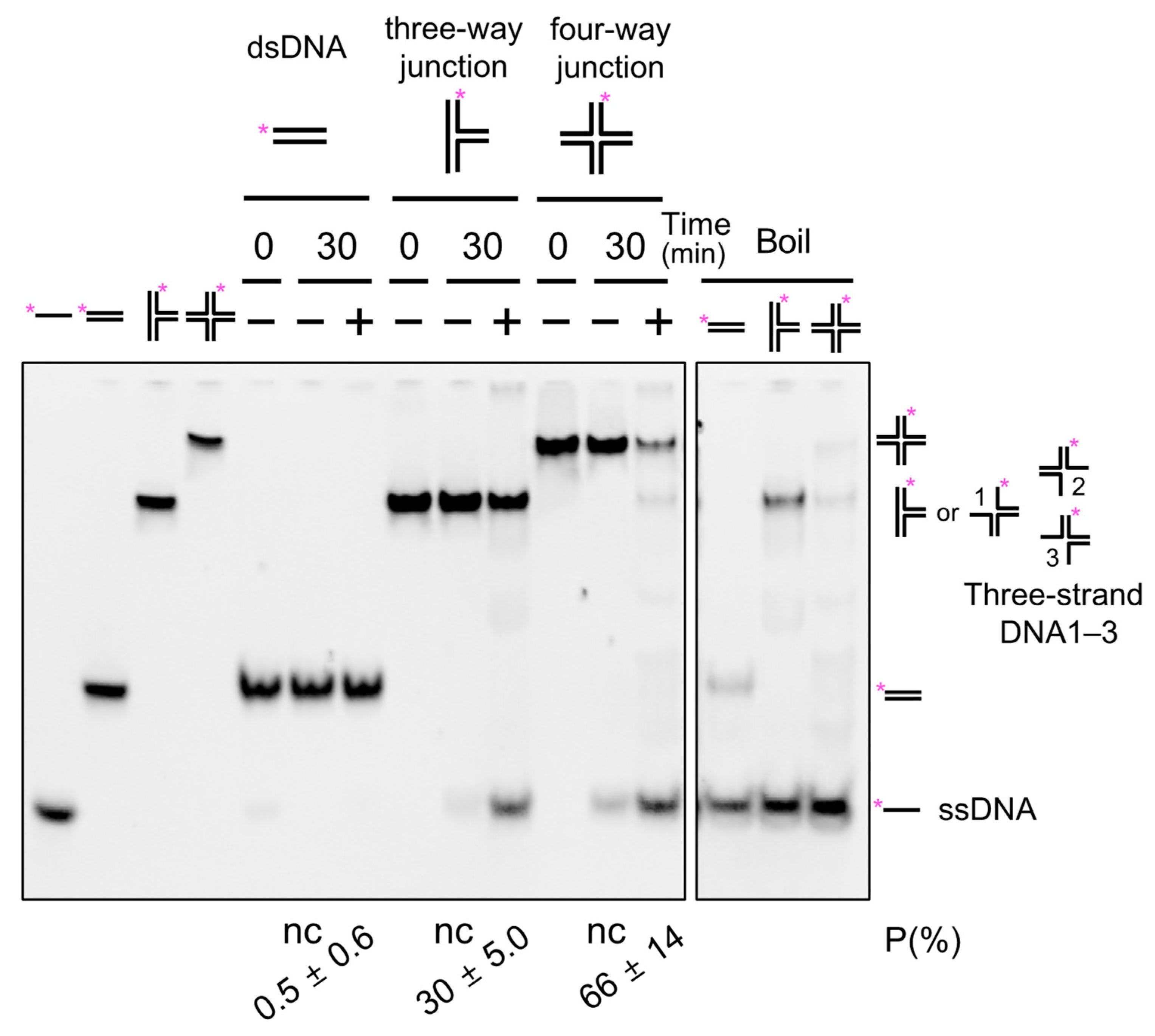 Catalysts 12 00034 g005 Catalysts 12 00034 g005