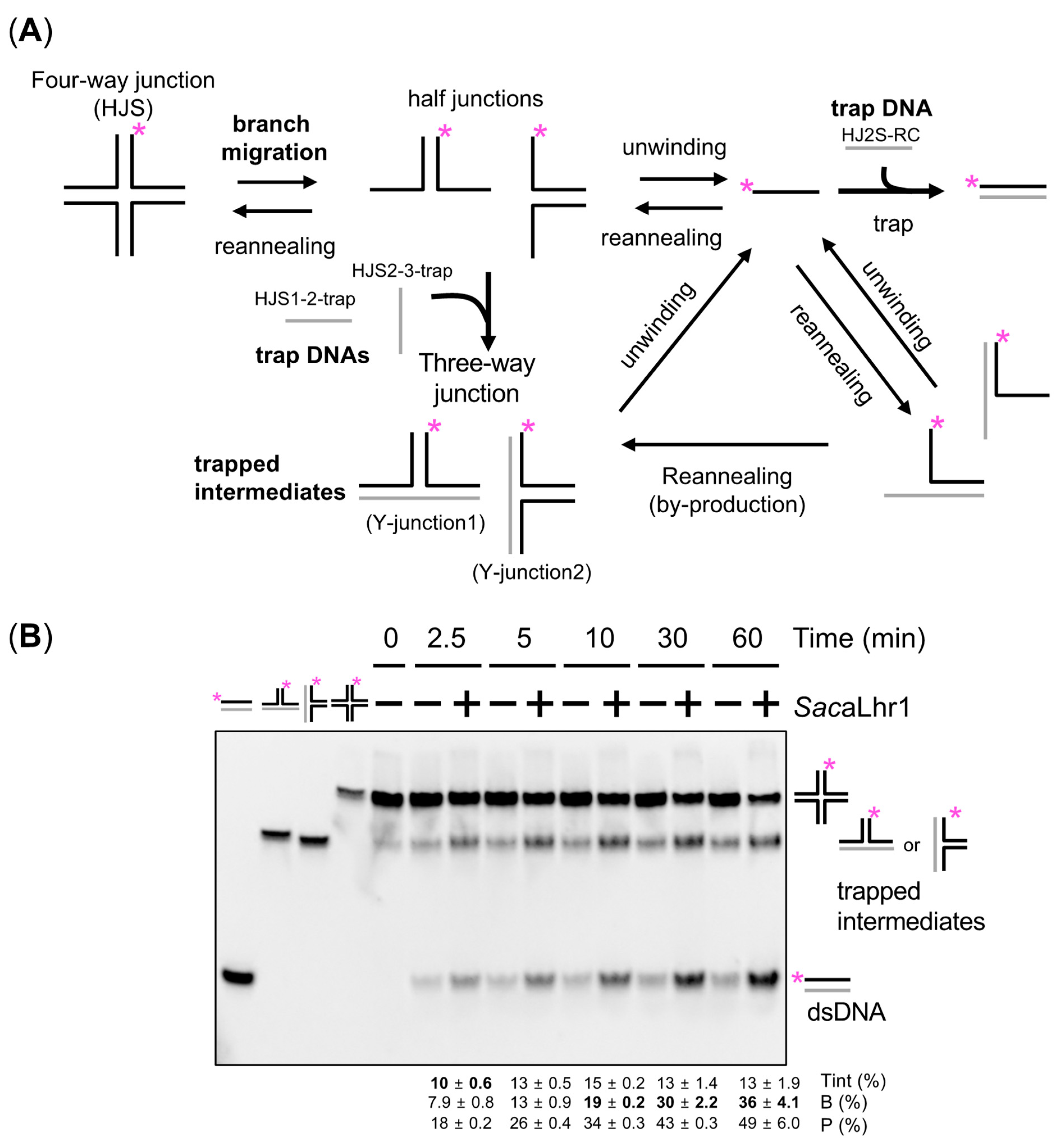 Catalysts 12 00034 g007 Catalysts 12 00034 g007
