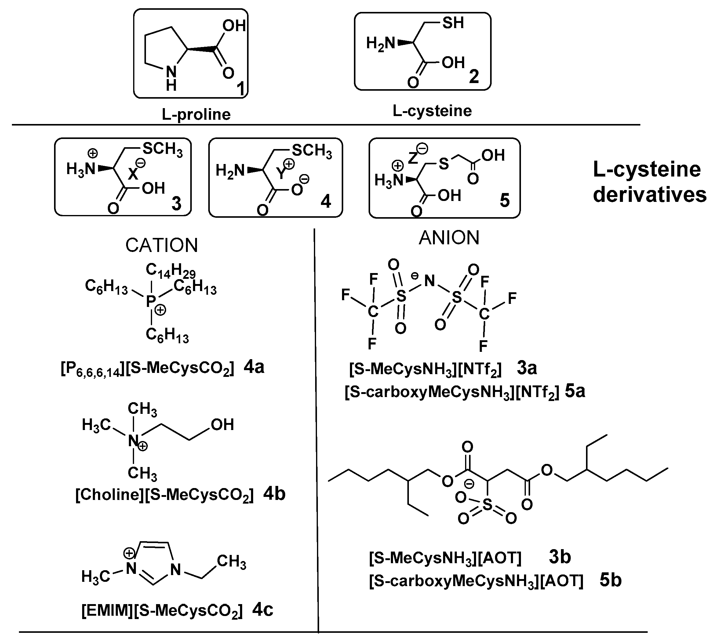 Catalysts 12 00047 g001