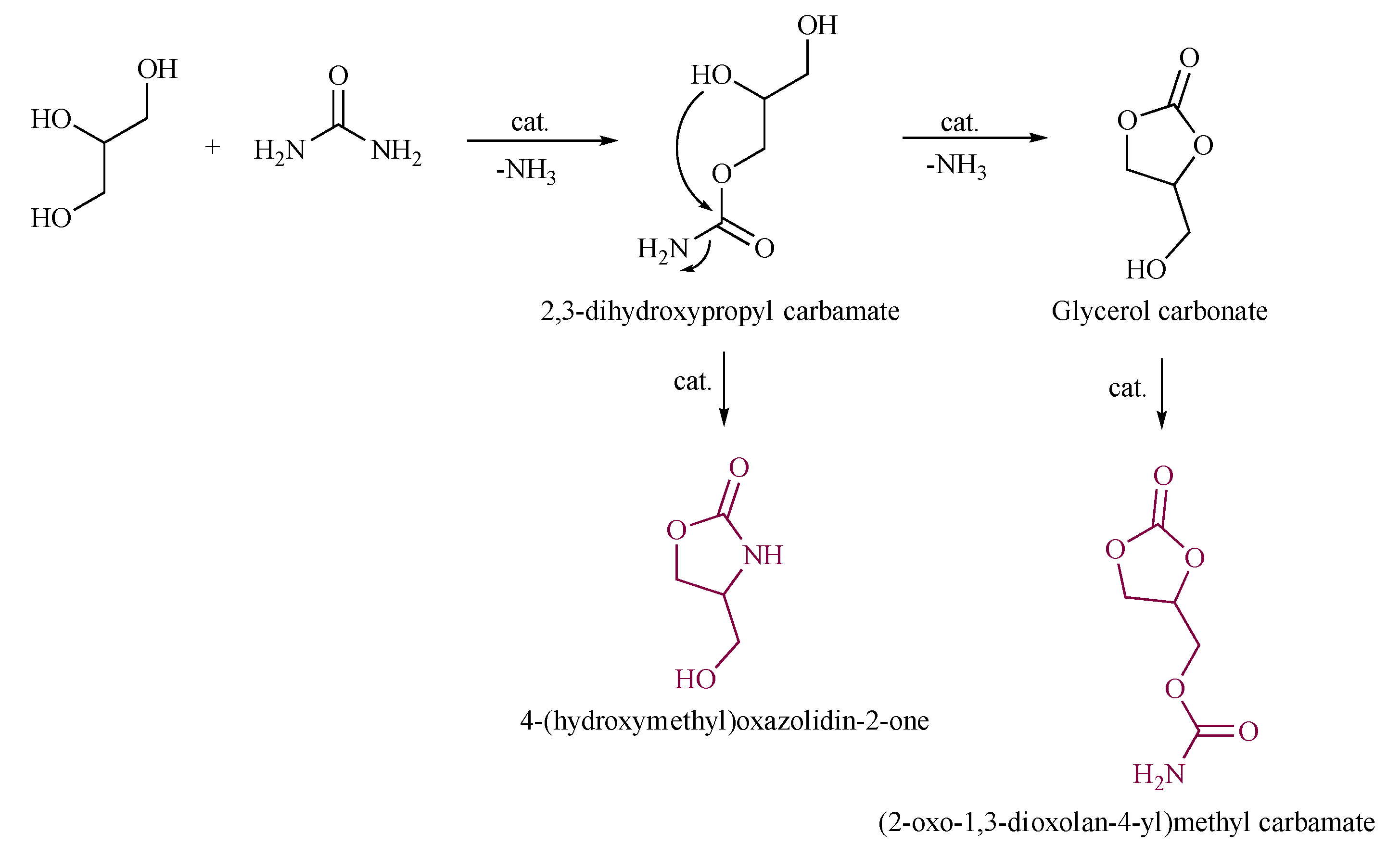 Catalysts 12 00050 sch001 550